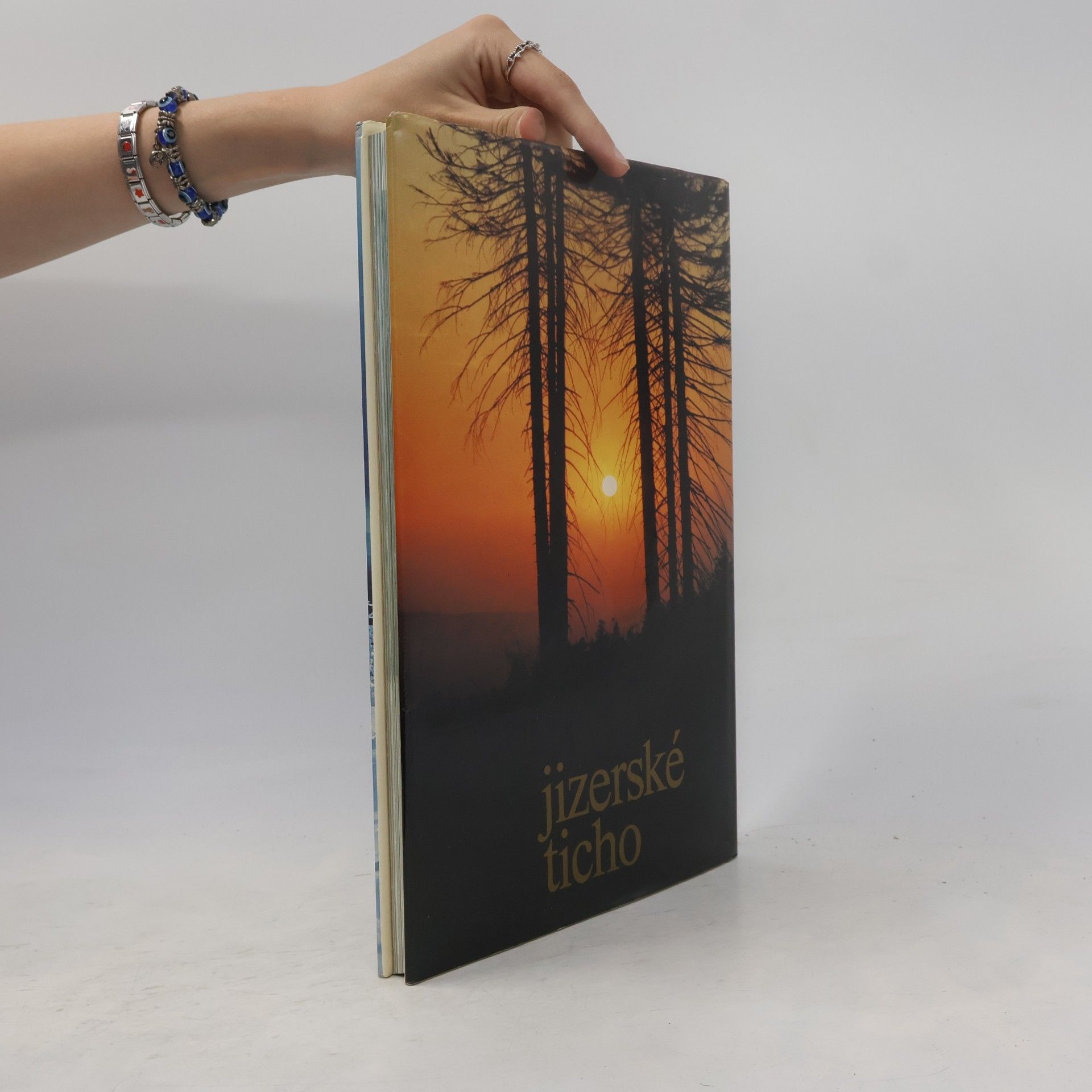 Collectif d'auteurs Jizerské ticho
