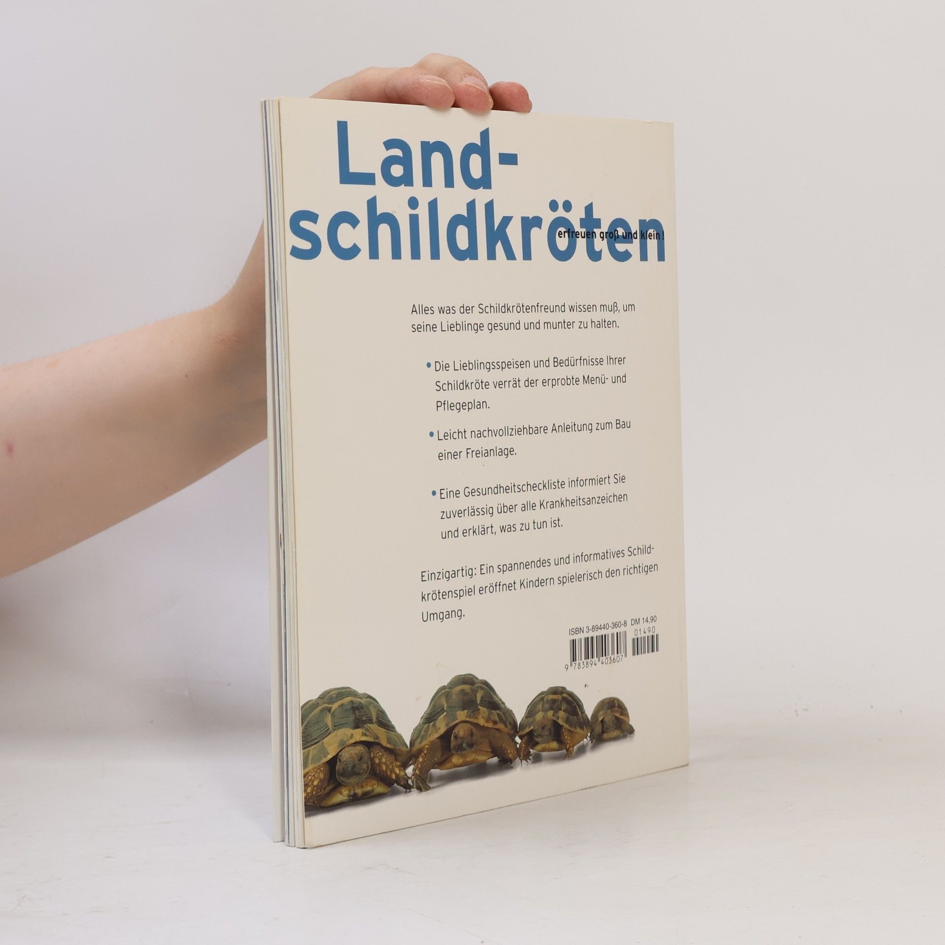 Evelyn Seeger Landschildkröten
