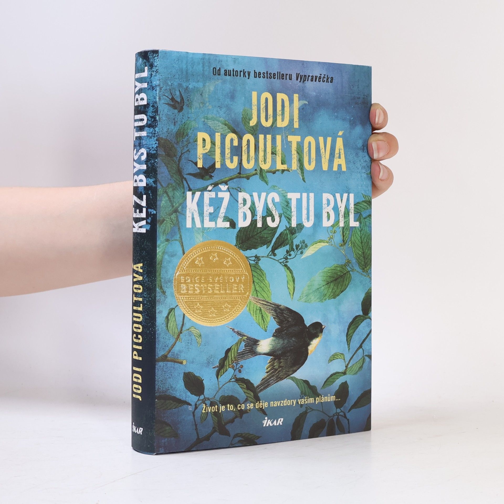 Jodi Picoult Kéž bys tu byl