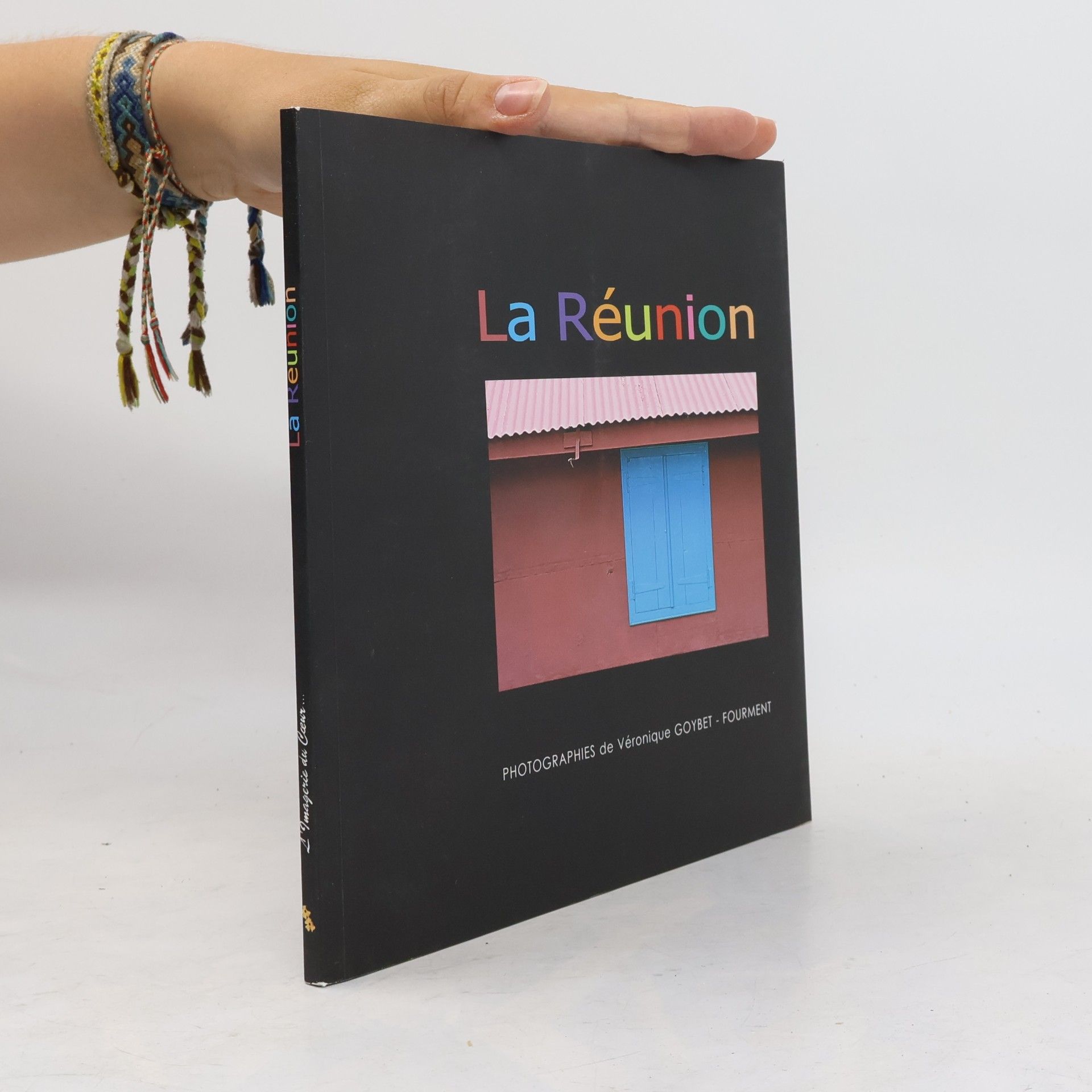 Véronique Goybet - Fourment La Réunion