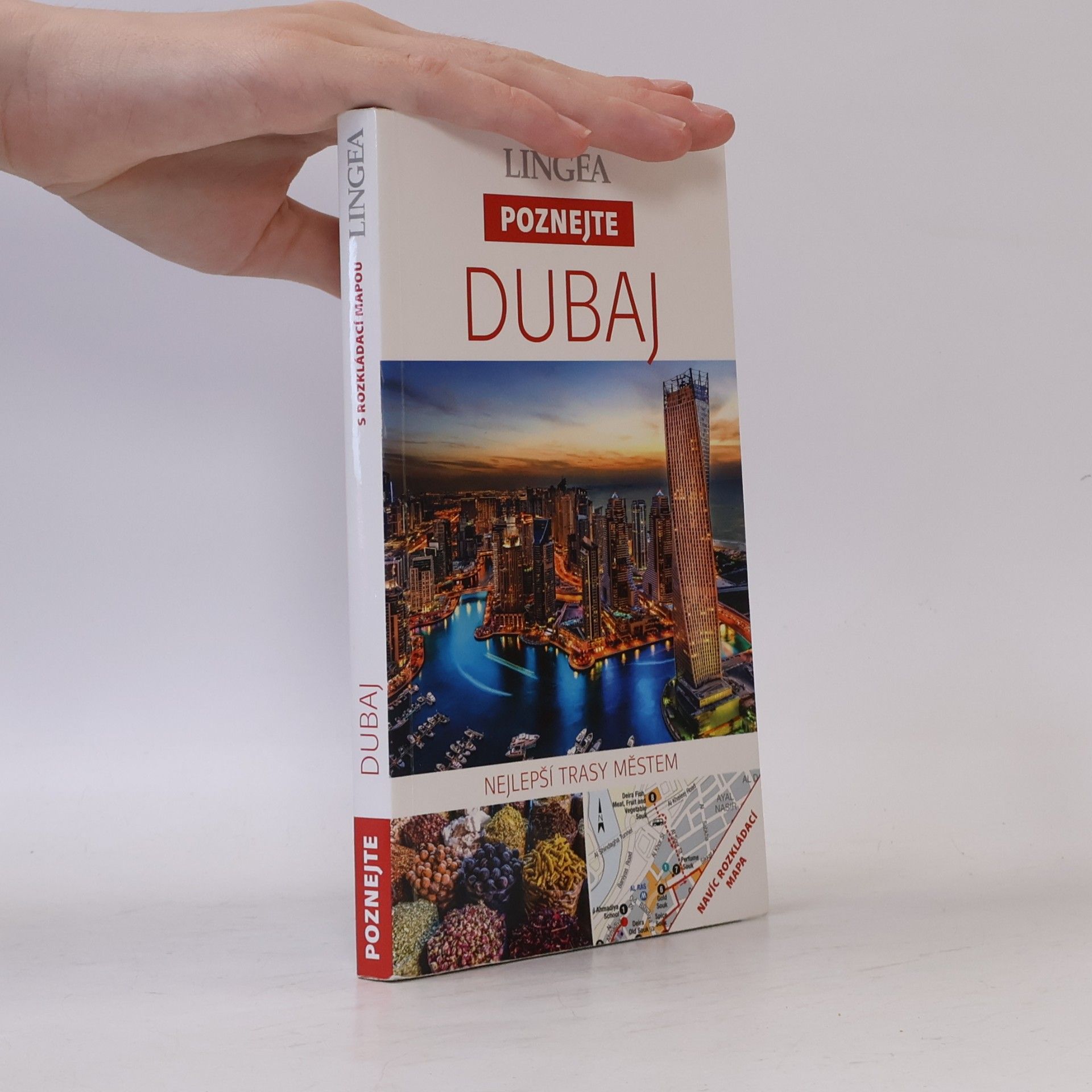 Kolektiv autorů Dubaj