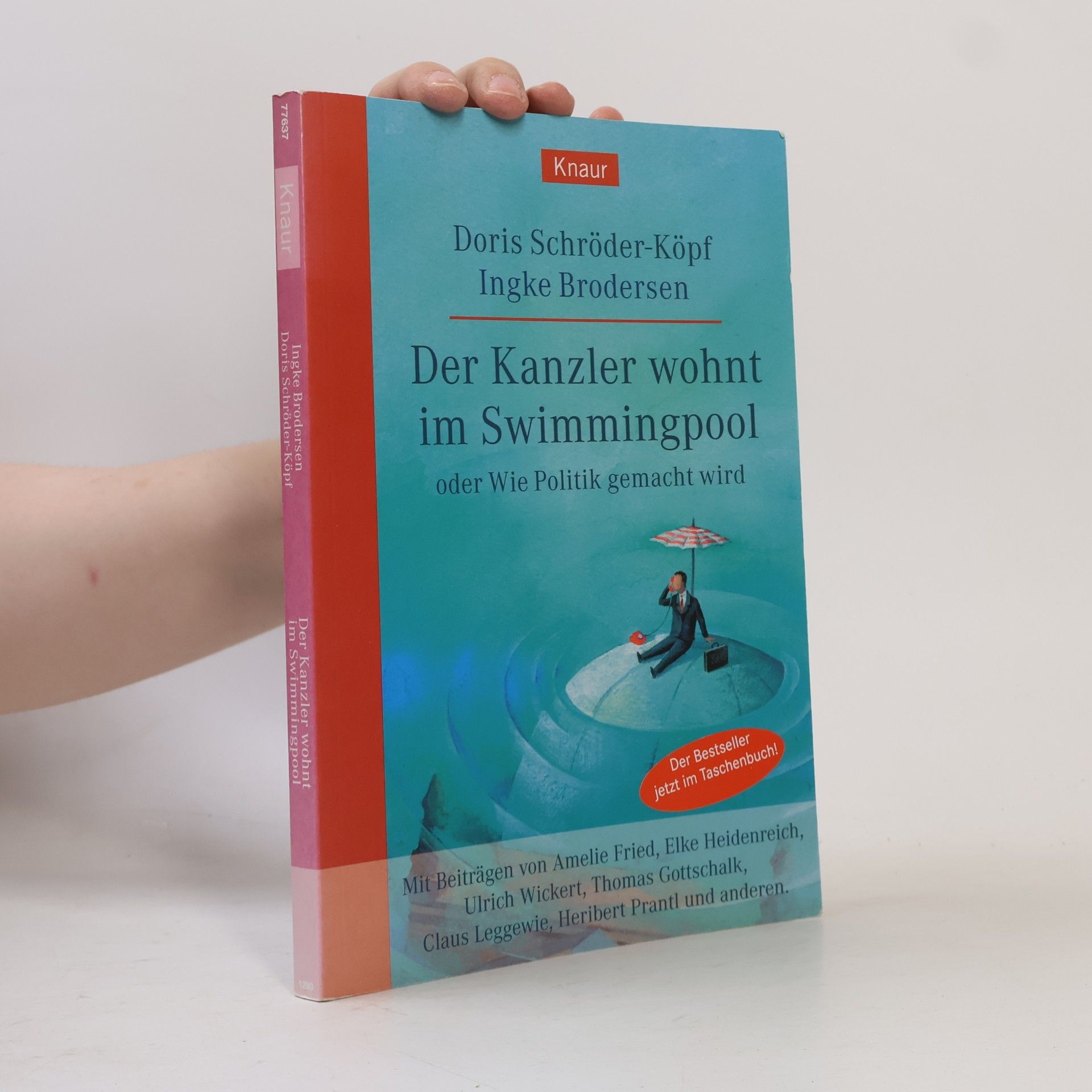 Doris Schro der Der Kanzler wohnt im Swimmingpool oder wie Politik gemacht wird