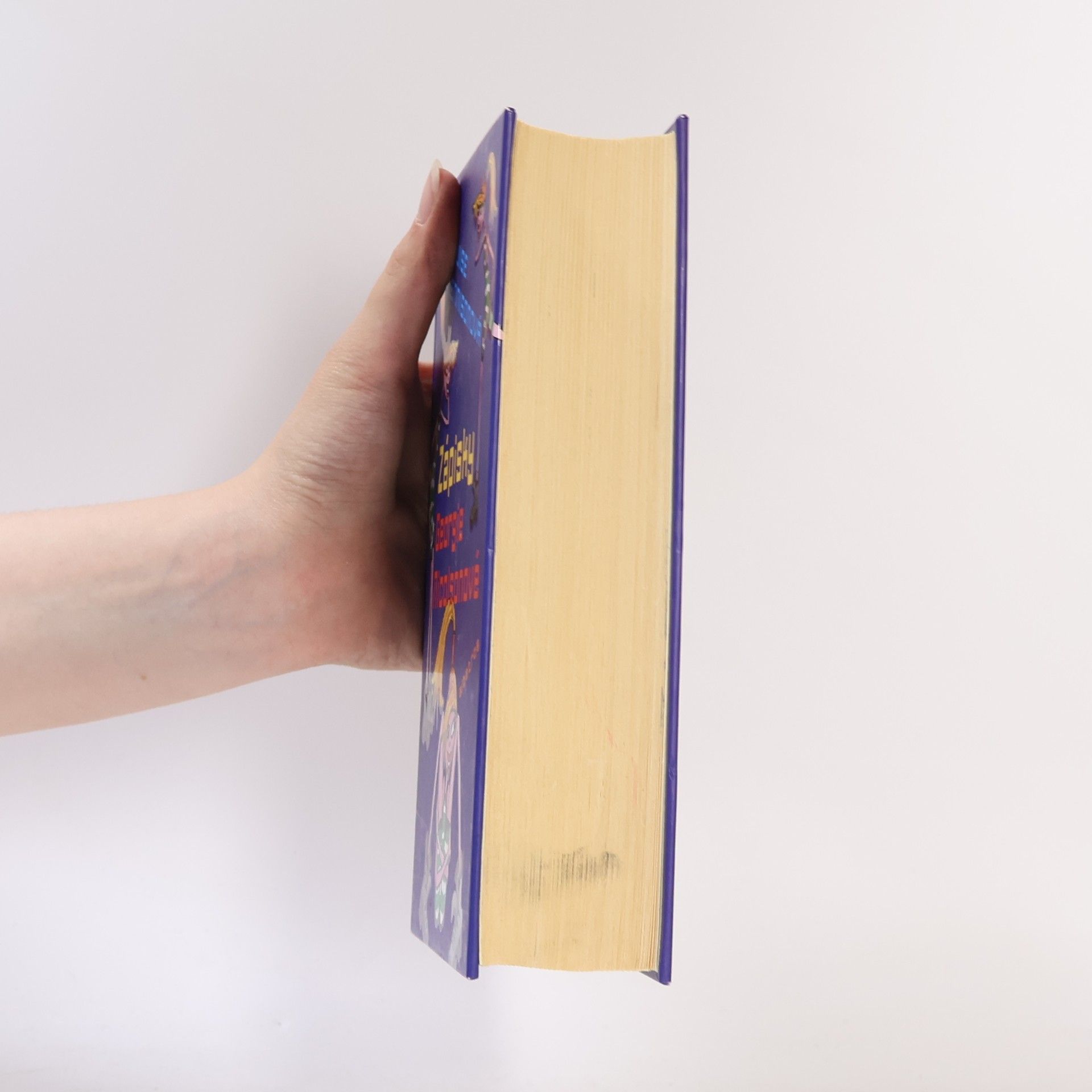 Louise Rennison Zápisky Georgie Nicolsonové