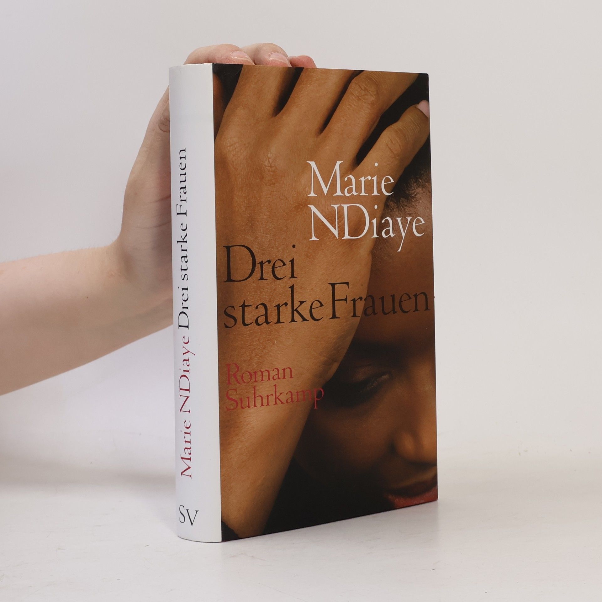 Marie NDiaye Drei starke Frauen