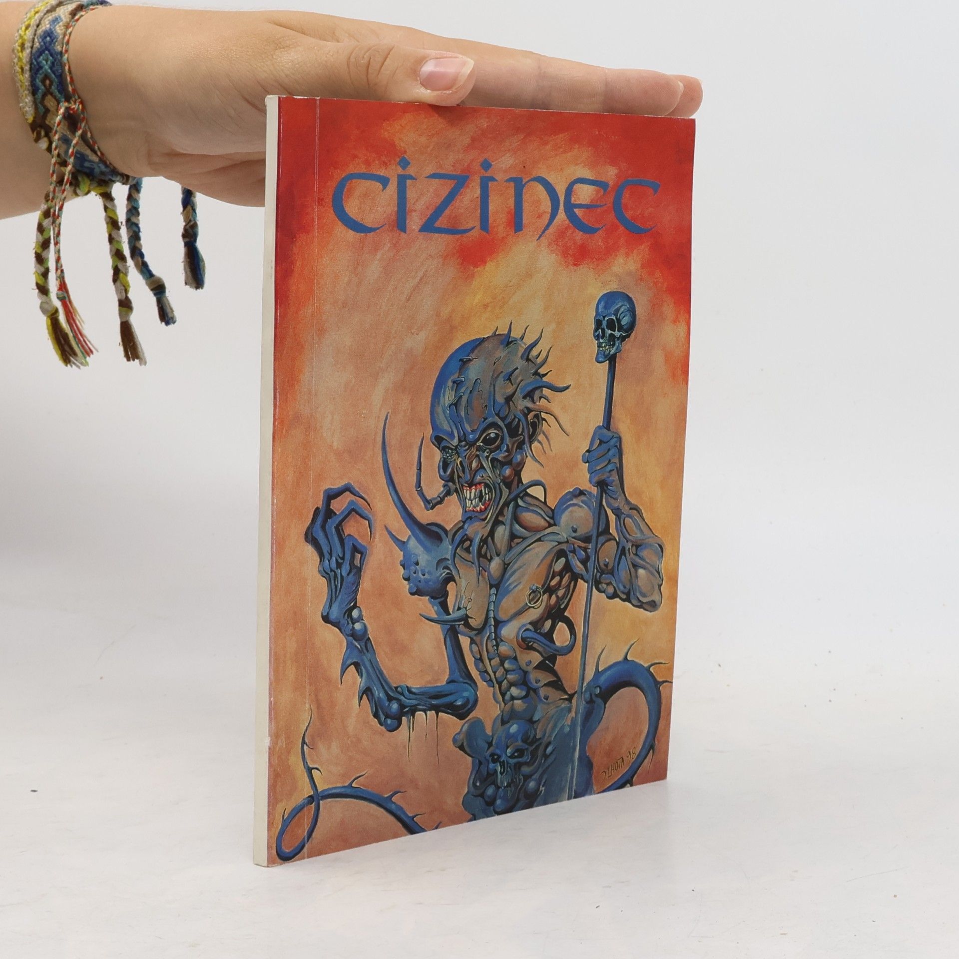 Kolektiv autorů Cizinec