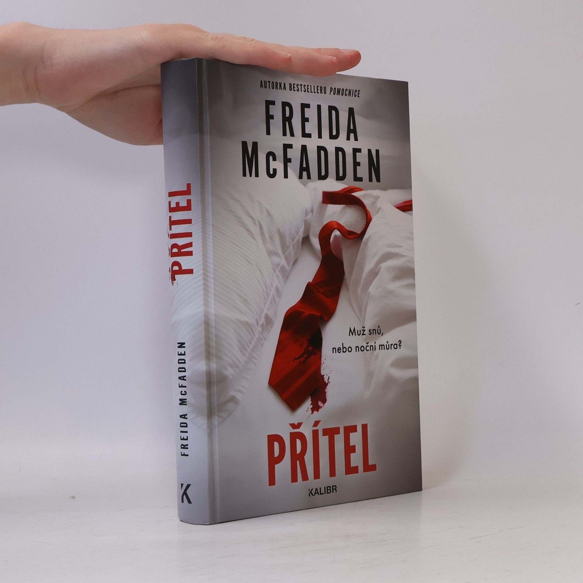 Freida McFaddenová Přítel