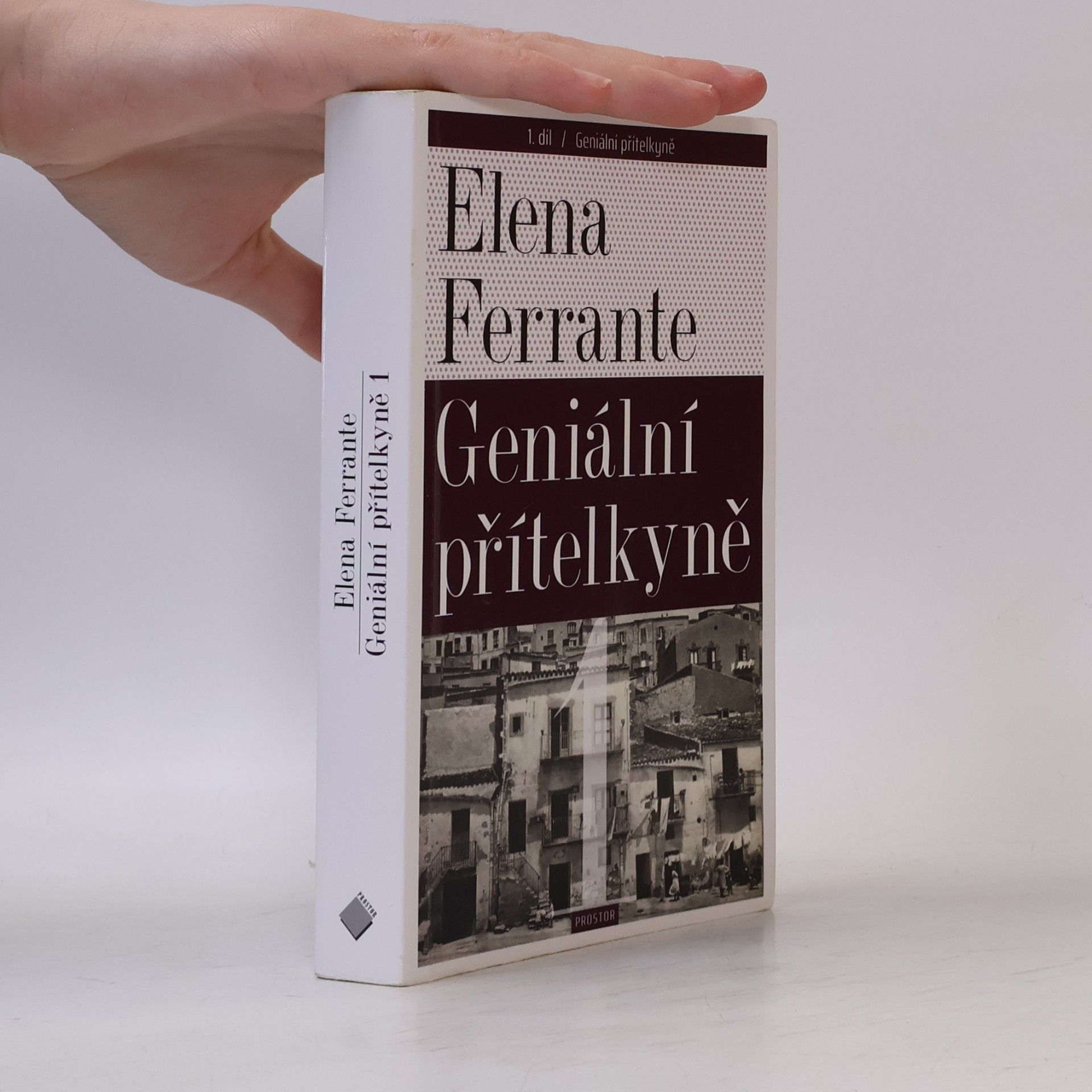 Elena Ferrante Geniální přítelkyně 1. Dětství a dospívání