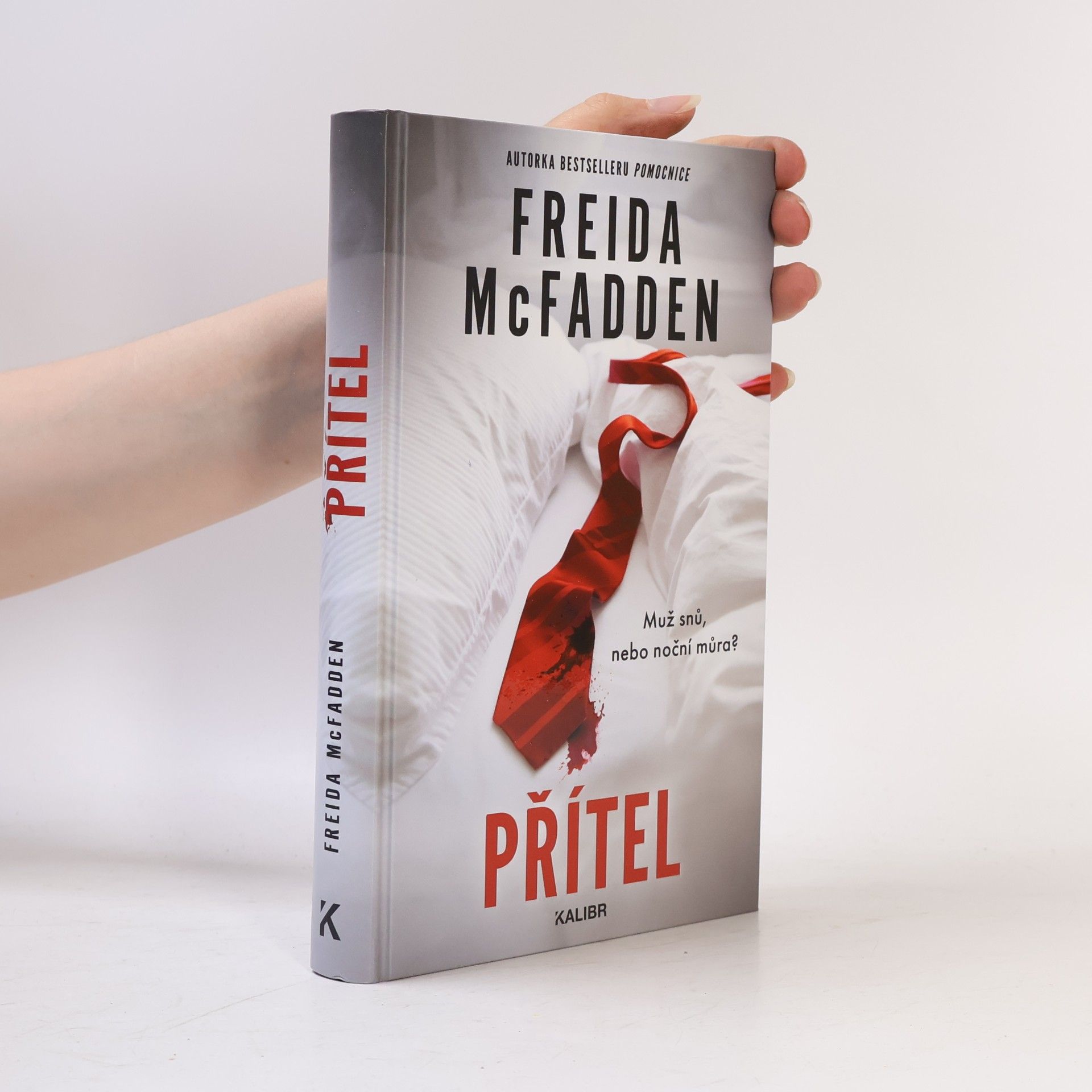 Freida McFaddenová Přítel