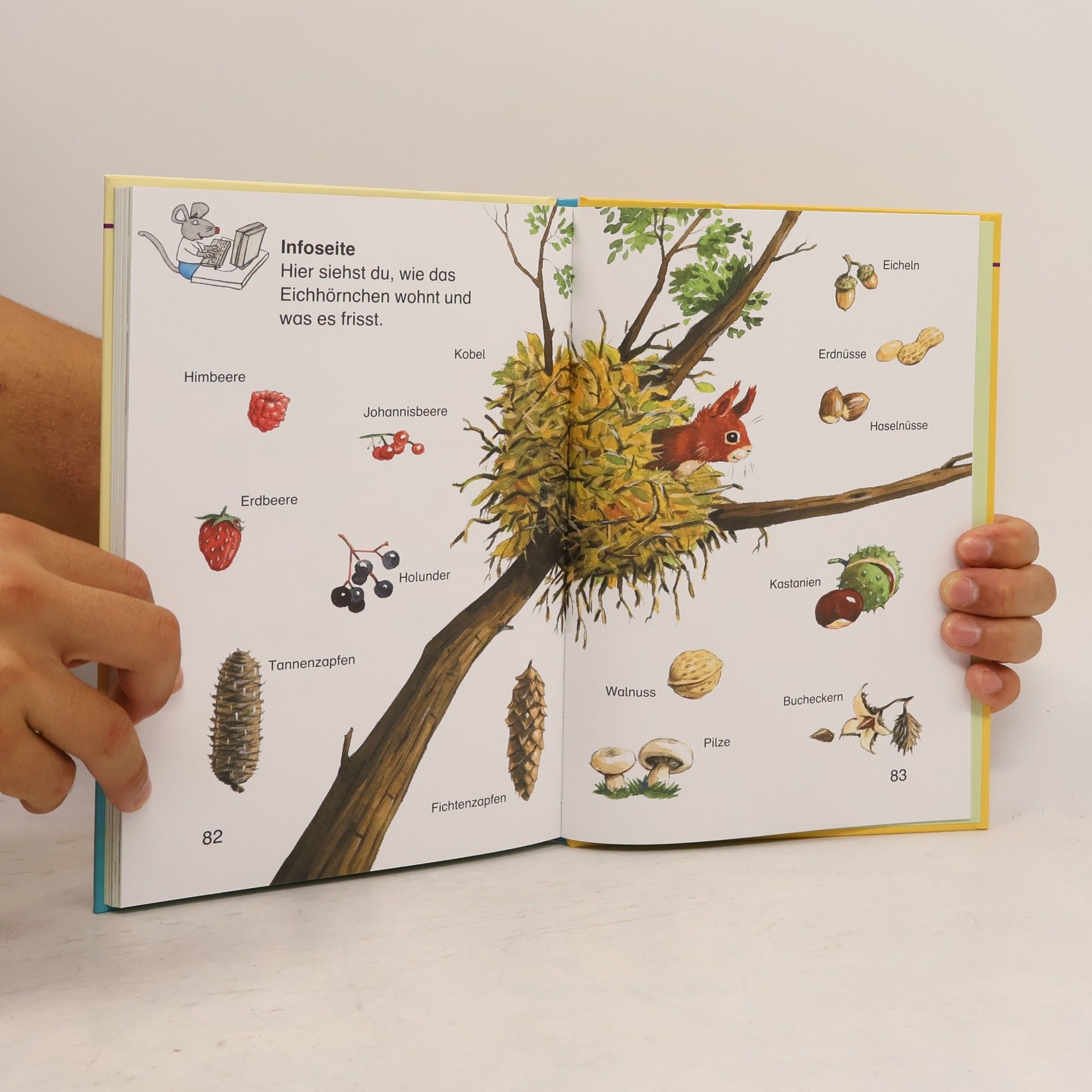 Various authors Erste Geschichten zum Lesenlernen