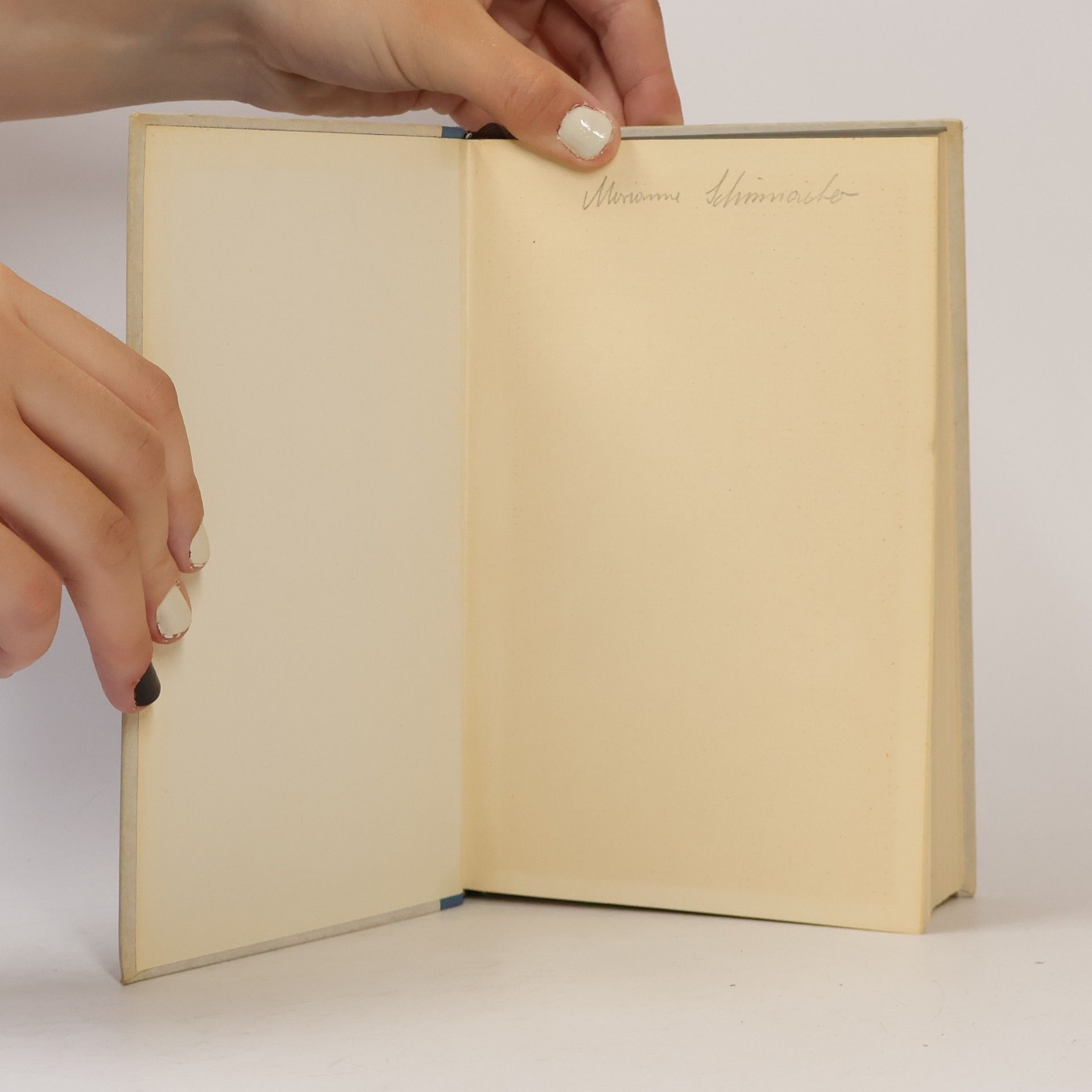 Axel Munthe Das Buch von San Michele