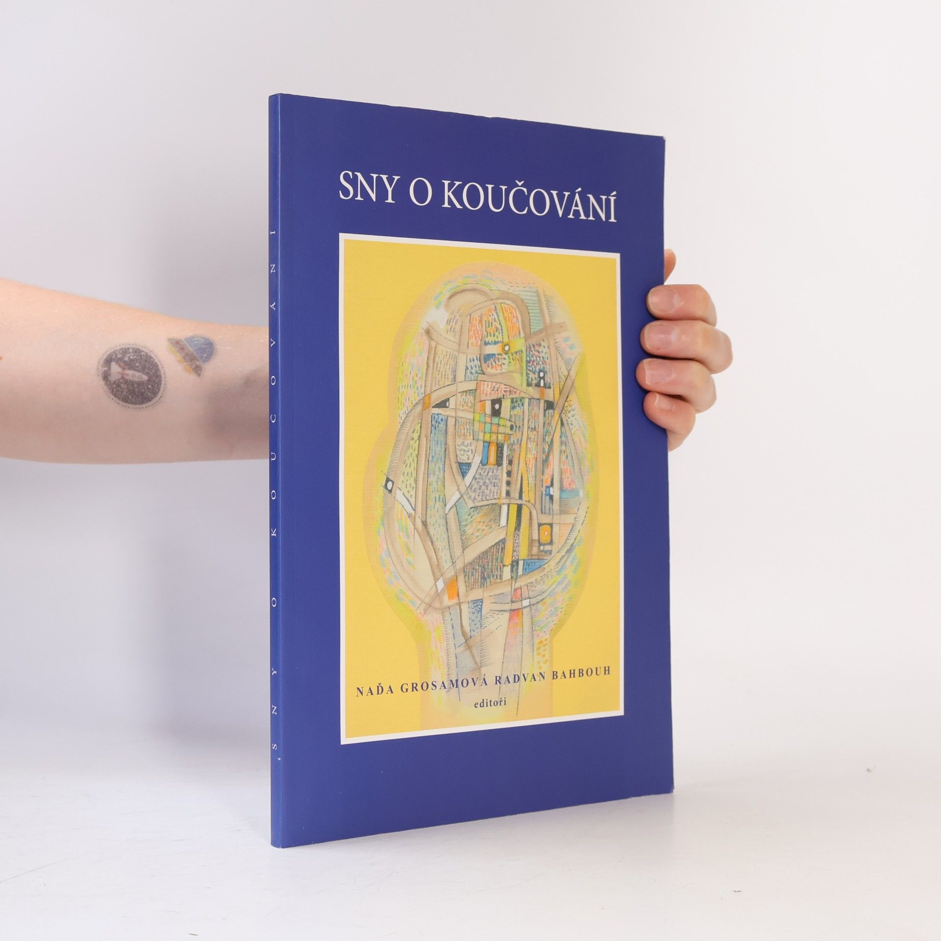 Naďa Grosamová Sny o koučování