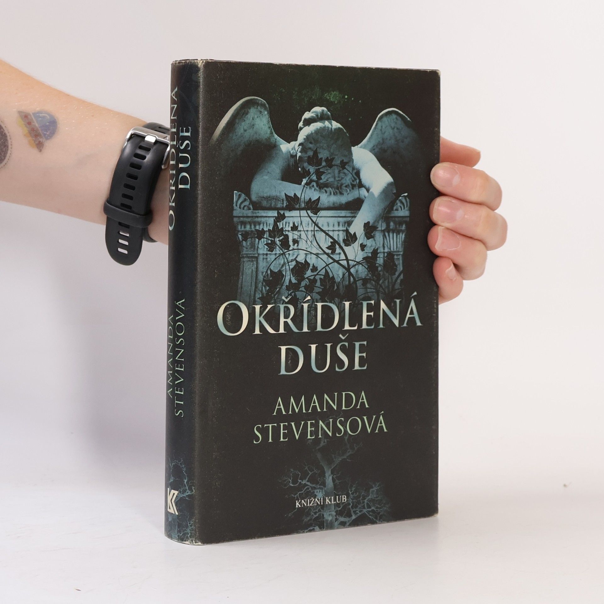 Amanda Stevens Okřídlená duše