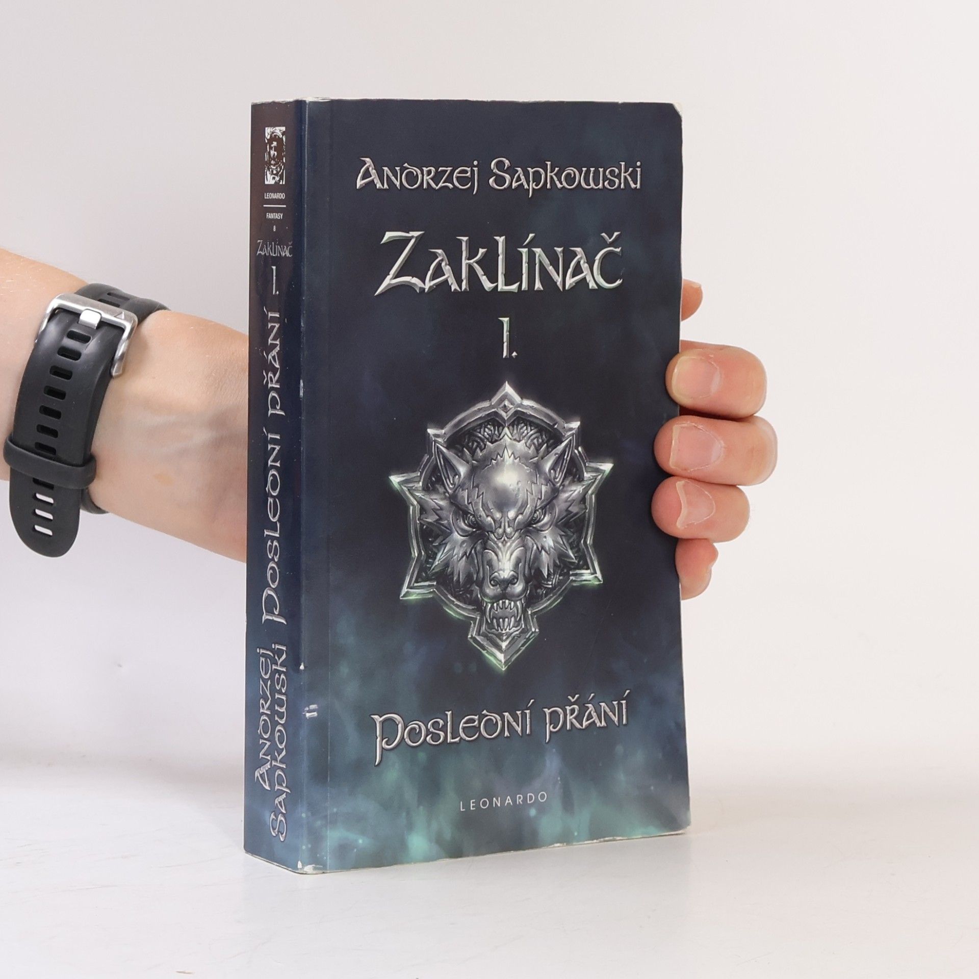 Zaklínač I. Poslední přání