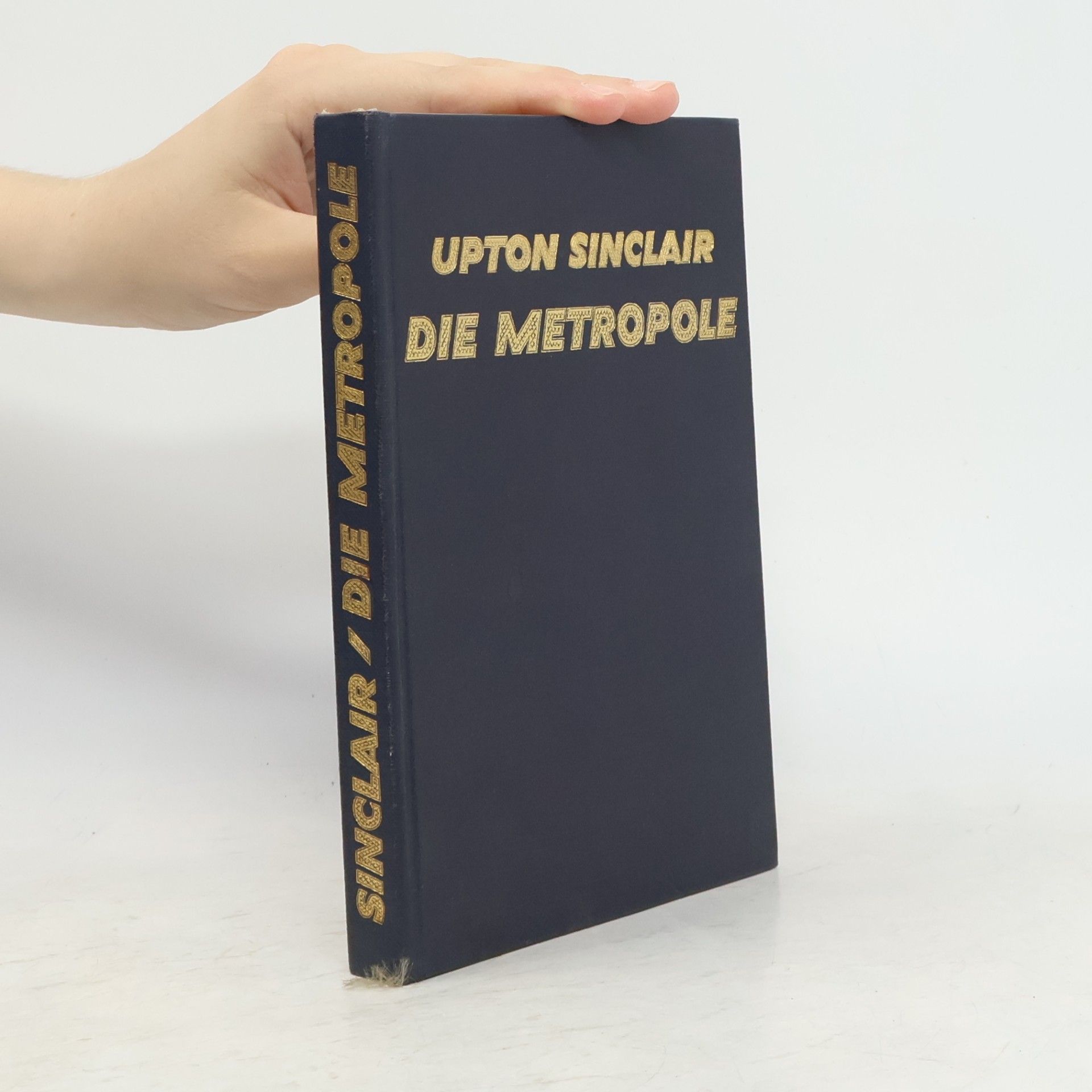 Upton Sinclair Die Metropole