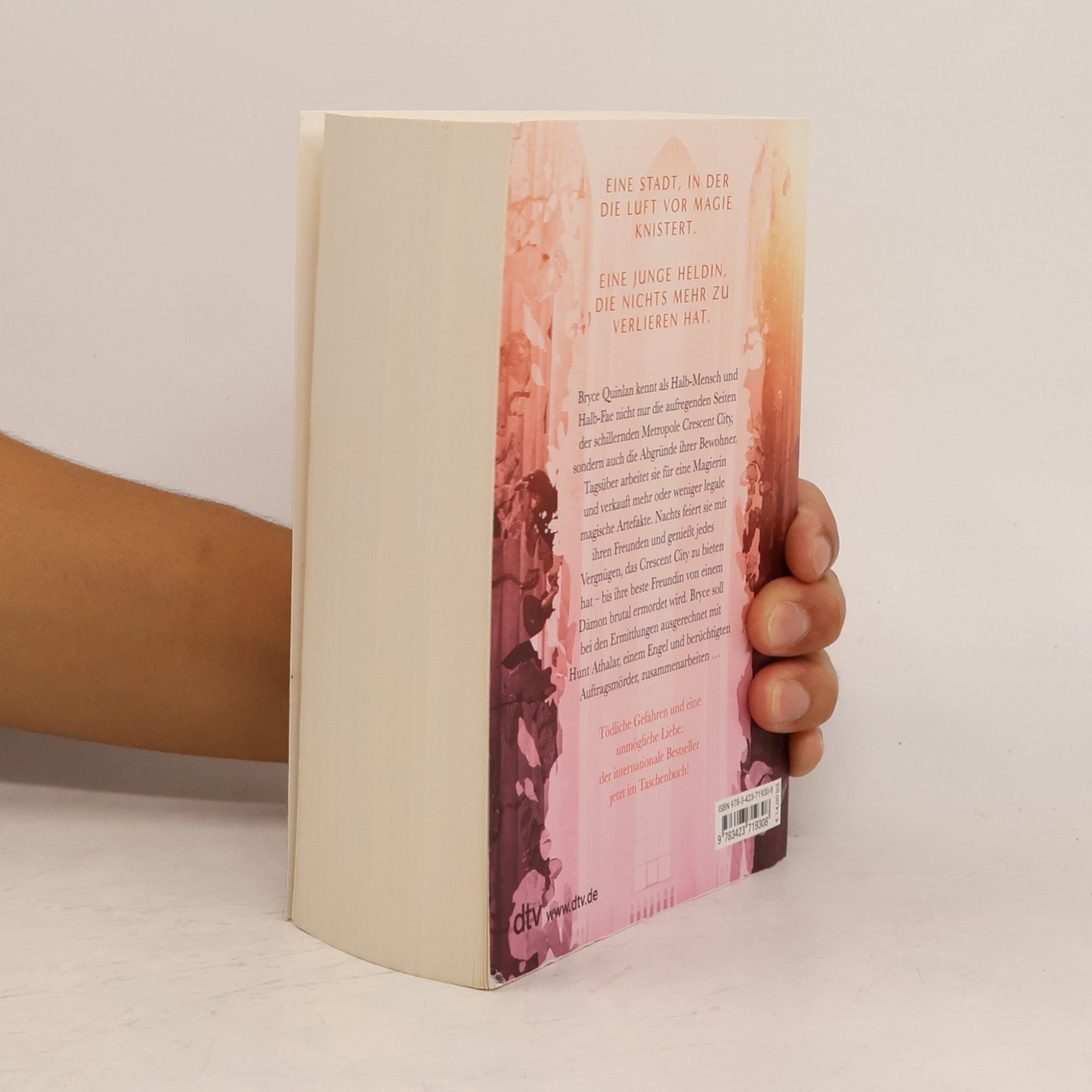 Sarah J. Maas Crescent City-Reihe - 1: Crescent City - Wenn das Dunkel erwacht