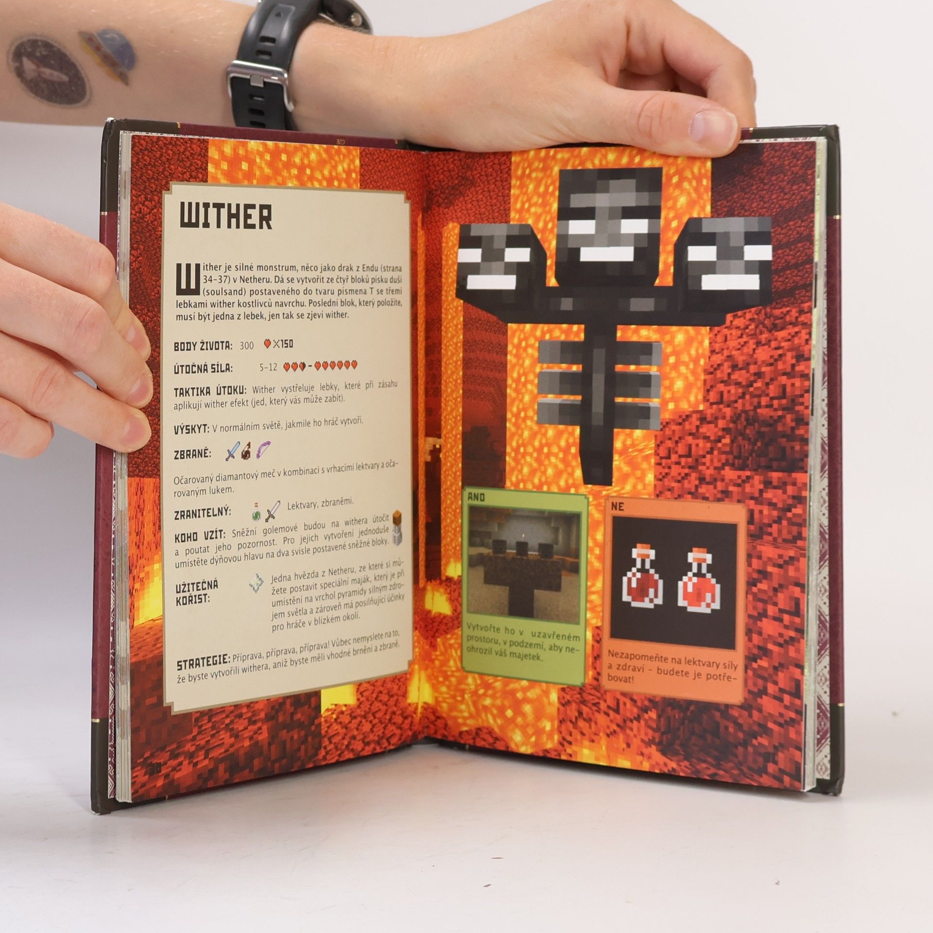 Matyáš Theodor Frydrych Minecraft. Bojová příručka