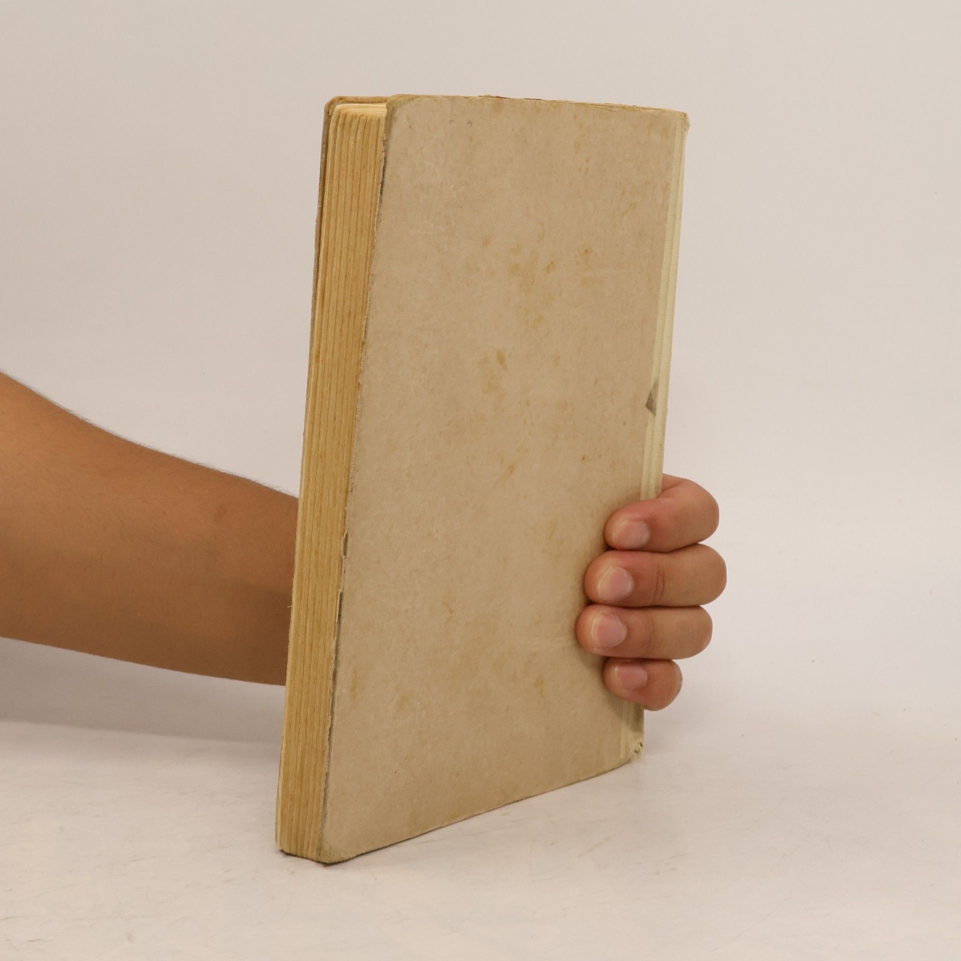 Autores varios Biblische Geschichte und Geschichte der katholischen Kirche