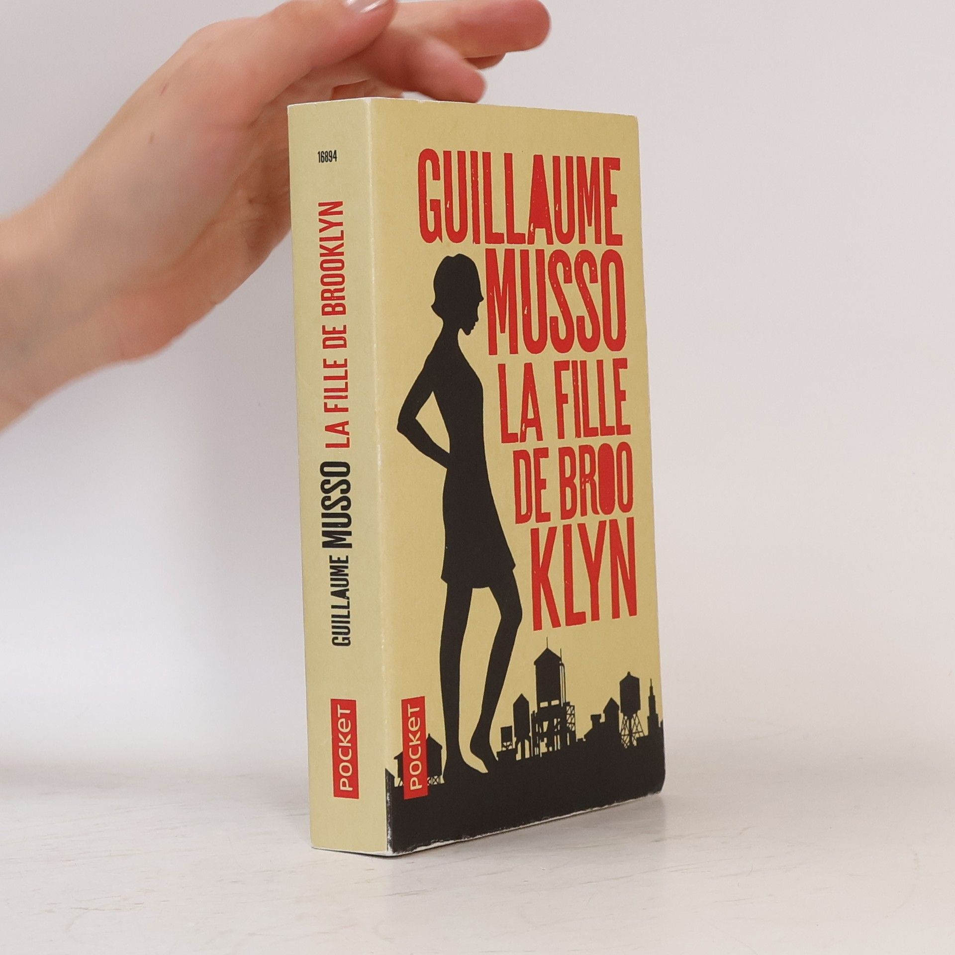 Guillaume Musso La Fille de Brooklyn