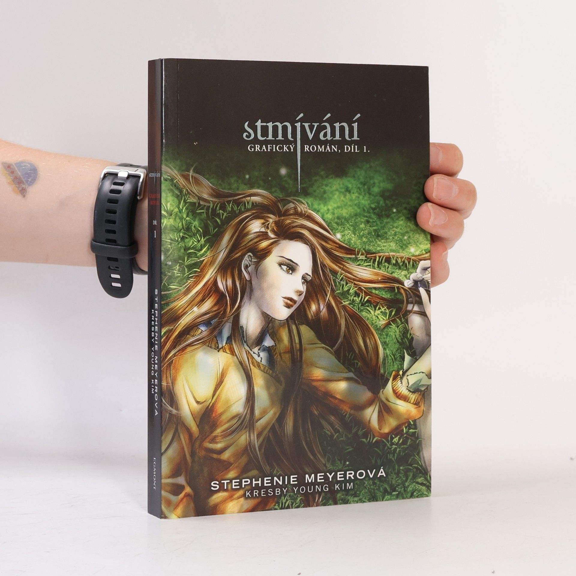 Stephenie Meyer Stmívání: Grafický román