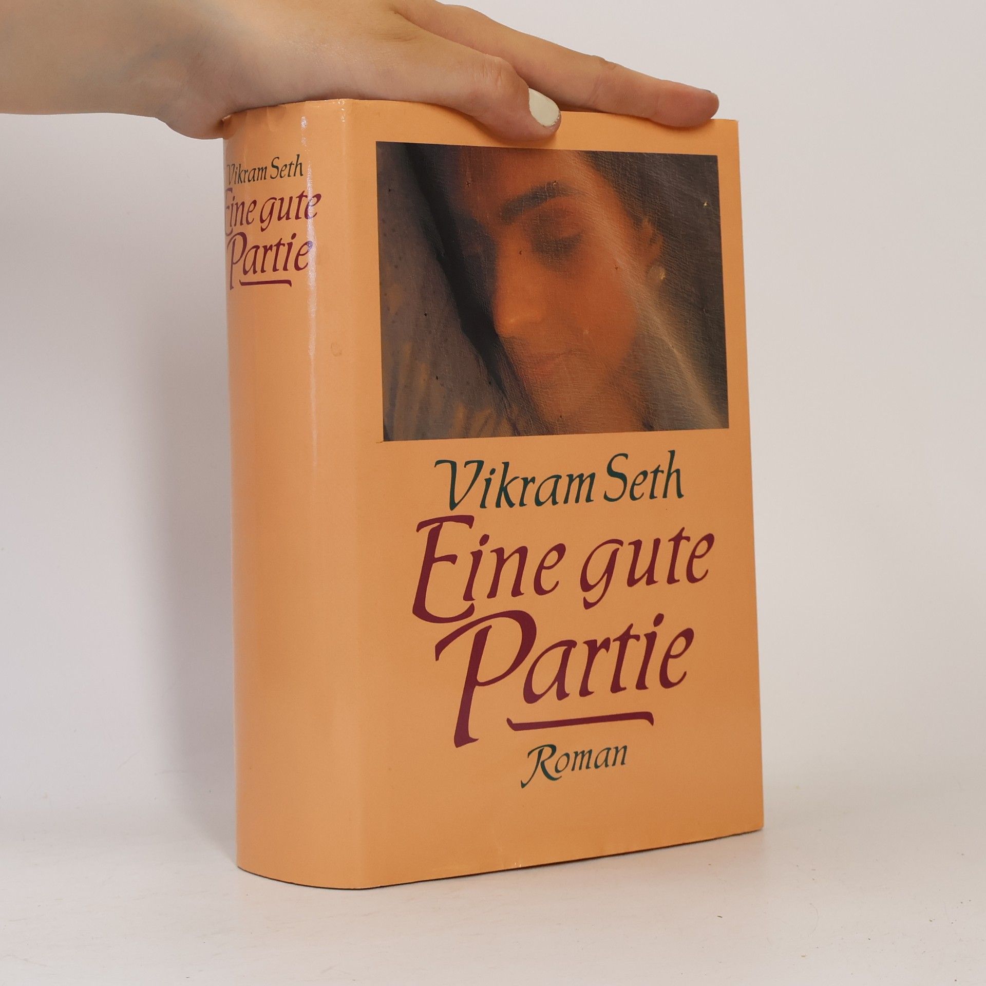 Vikram Seth Eine gute Partie