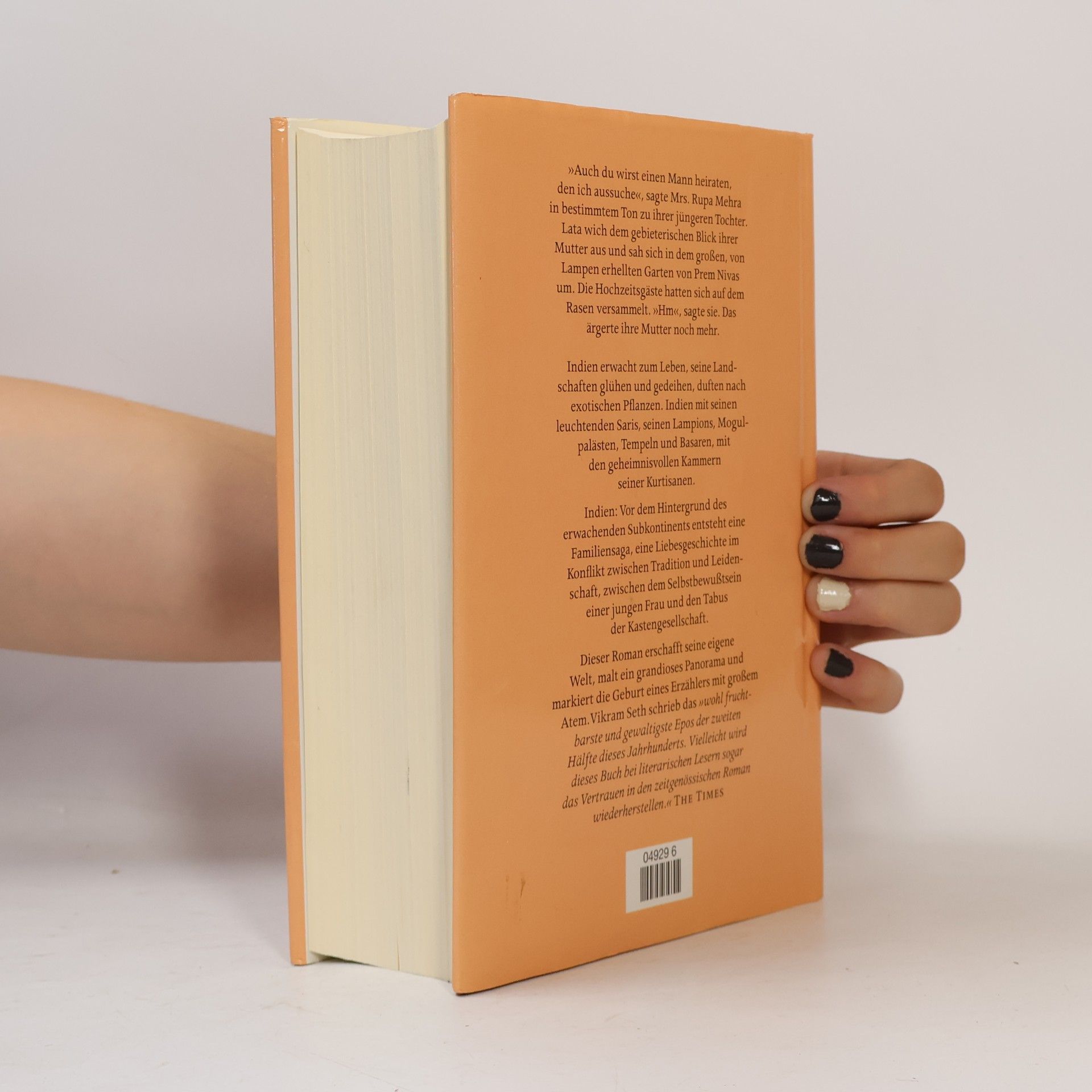 Vikram Seth Eine gute Partie