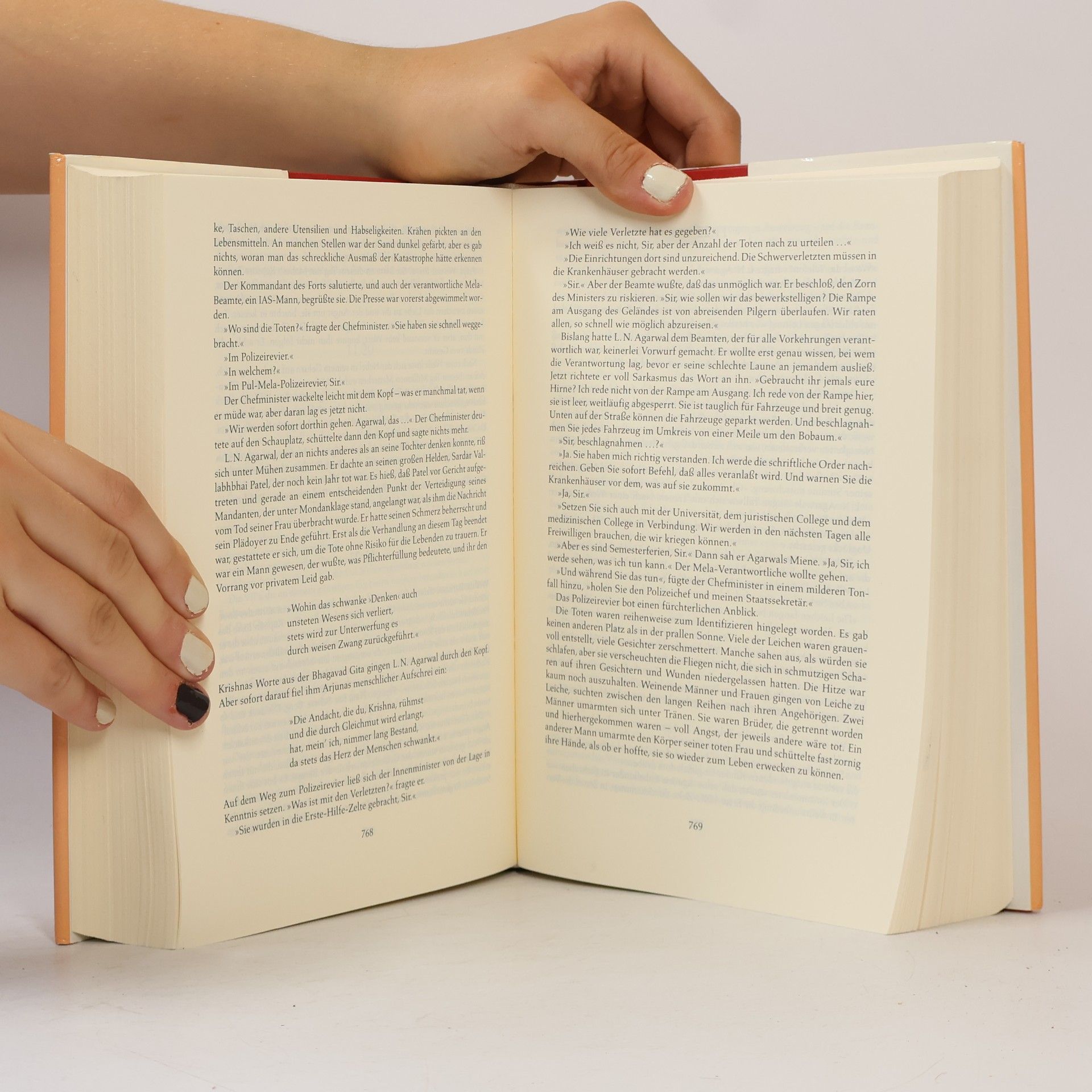 Vikram Seth Eine gute Partie