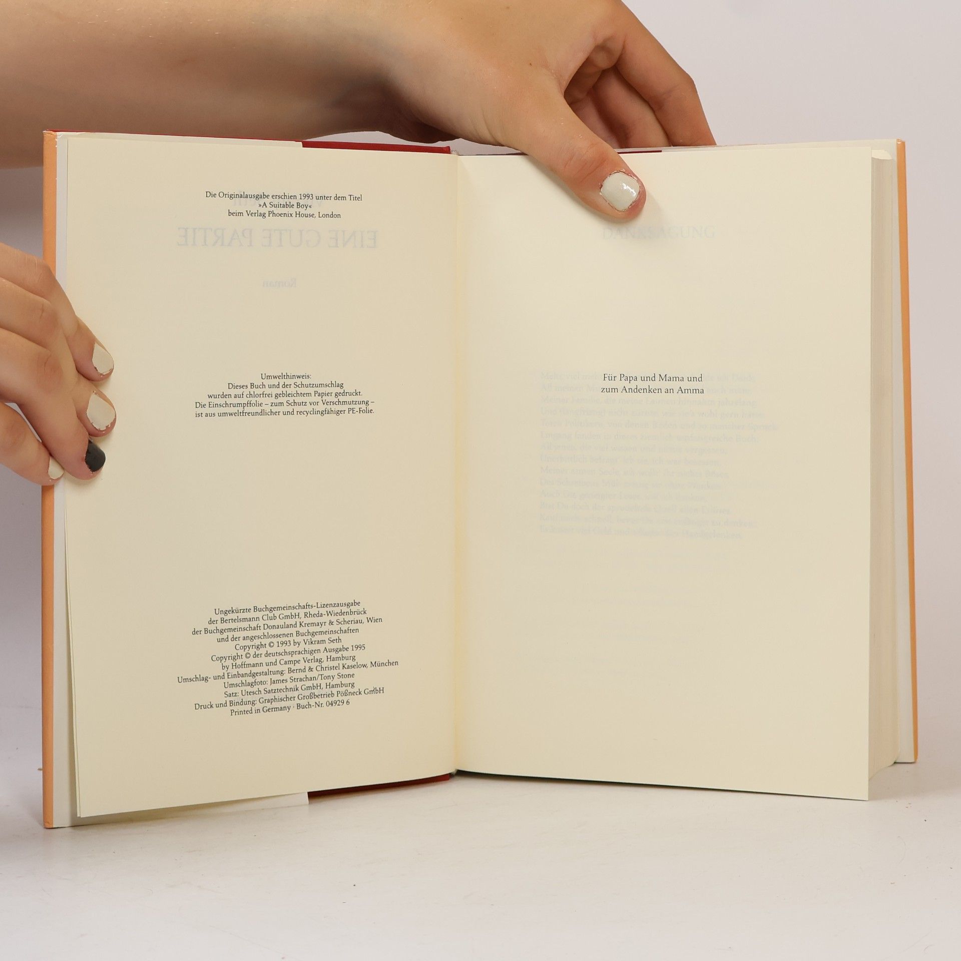Vikram Seth Eine gute Partie