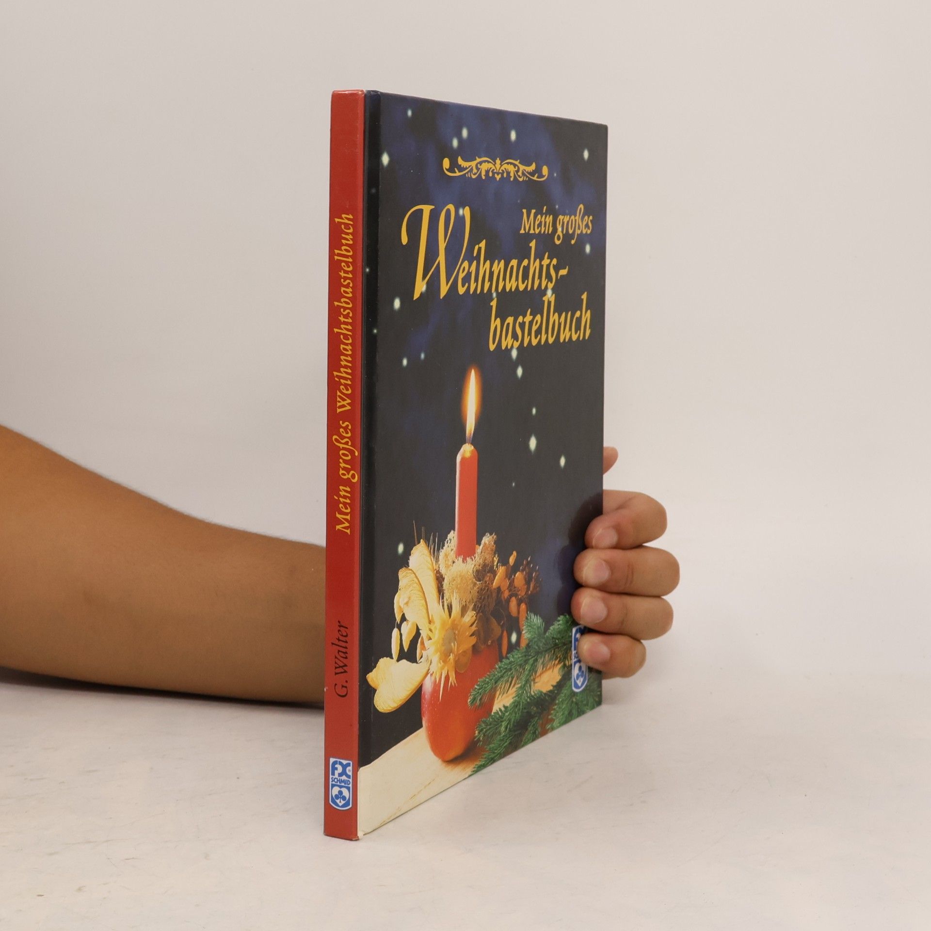 Mein grosses Weihnachtsbastelbuch