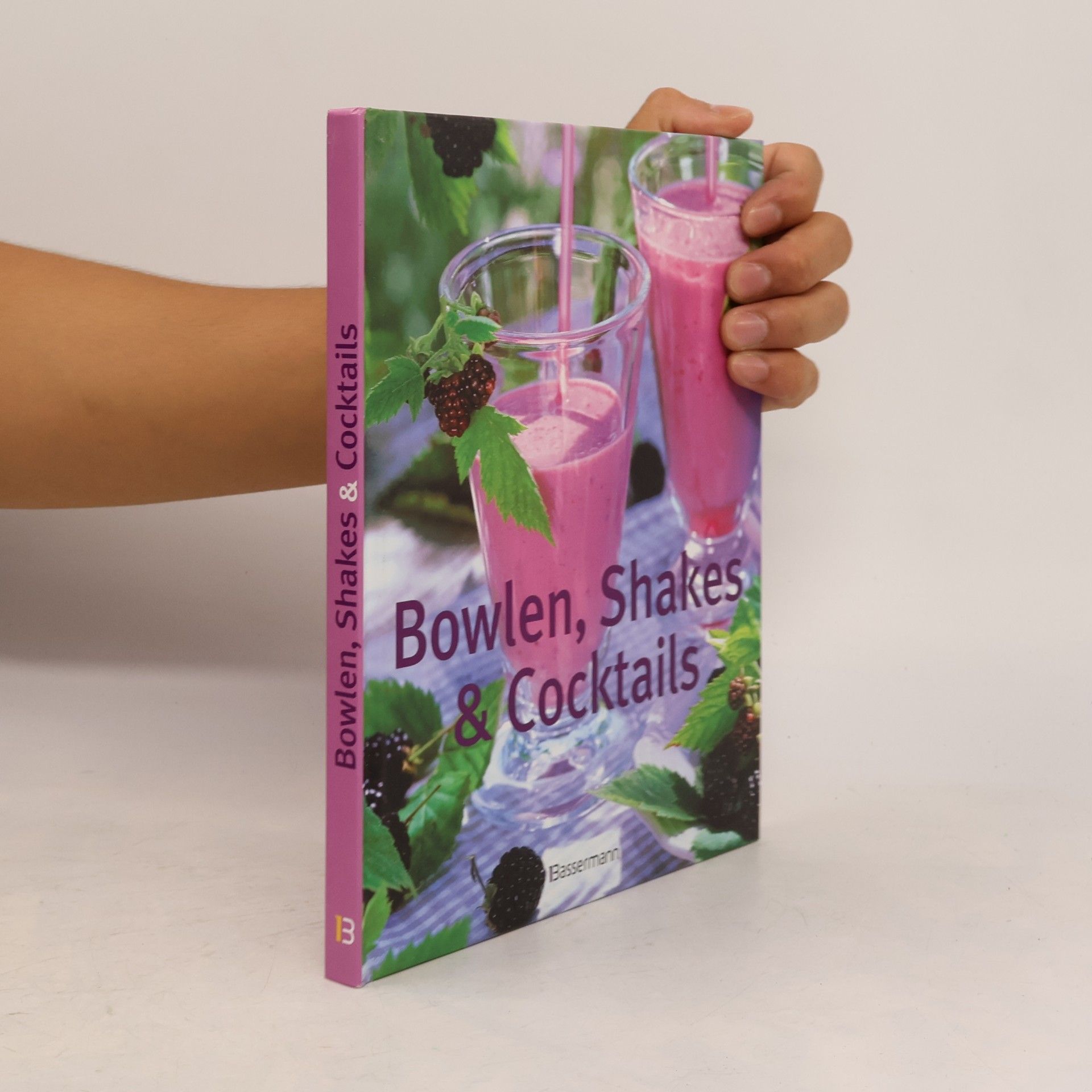 Bowlen, Shakes & Cocktails