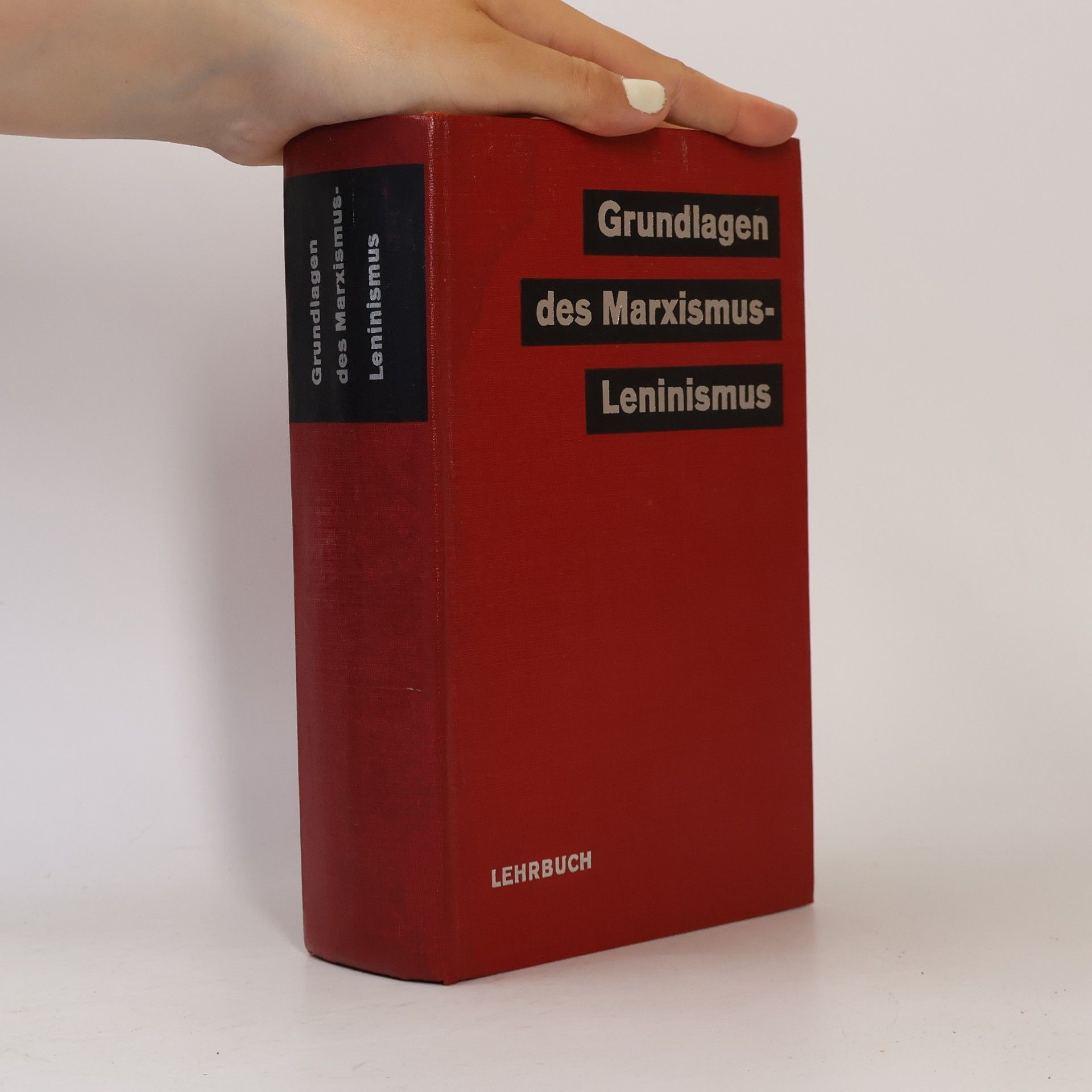 Kolektív autorov Grundlagen des Marxismus-Leninismus