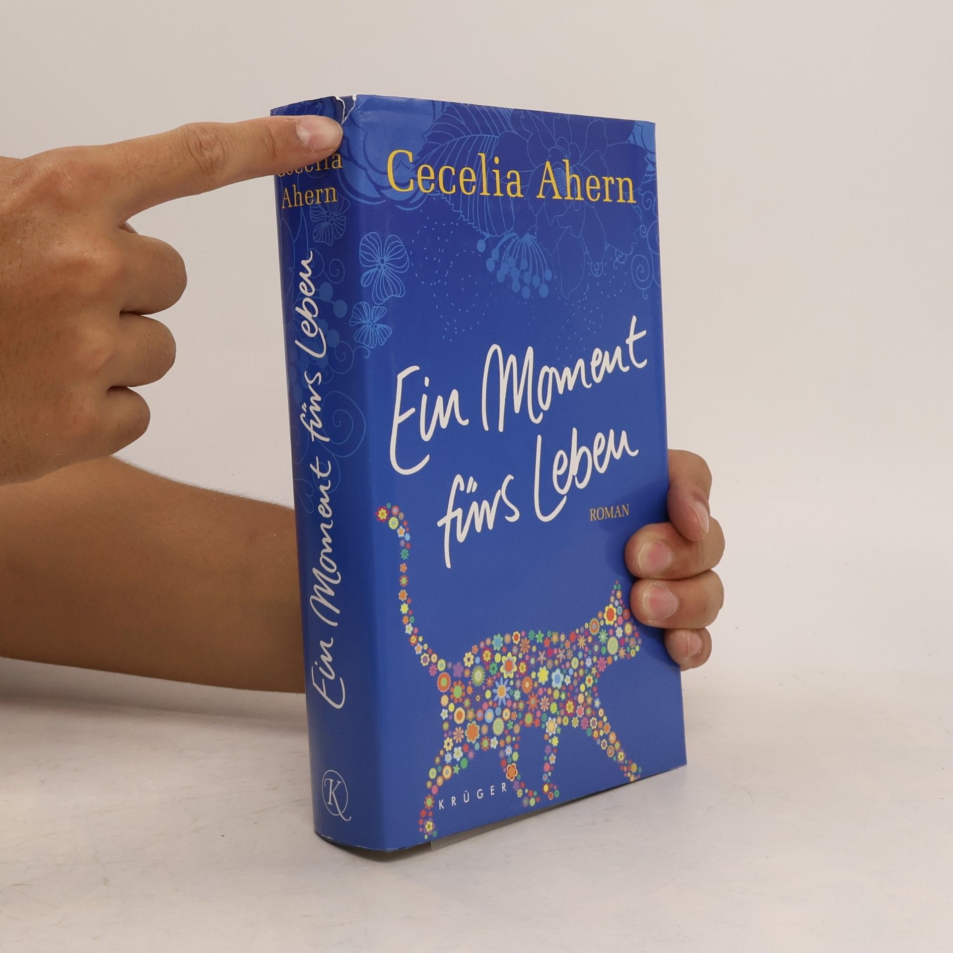 Cecelia Ahern Ein Moment fürs Leben