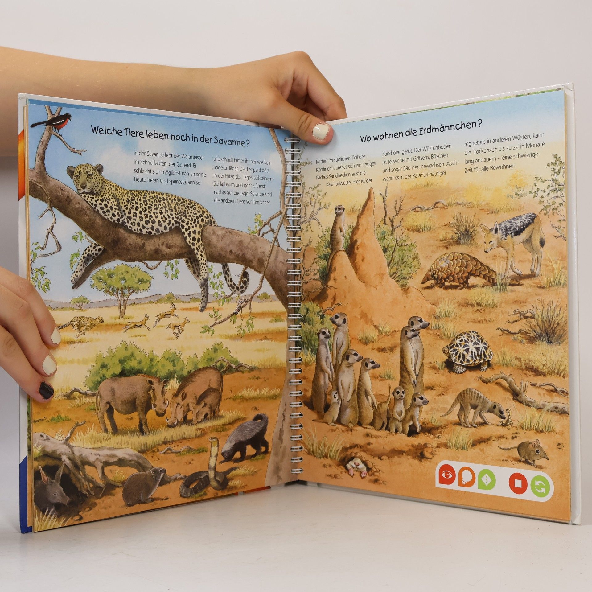 Constanze Schargan Entdecke die Tiere: Afrikas
