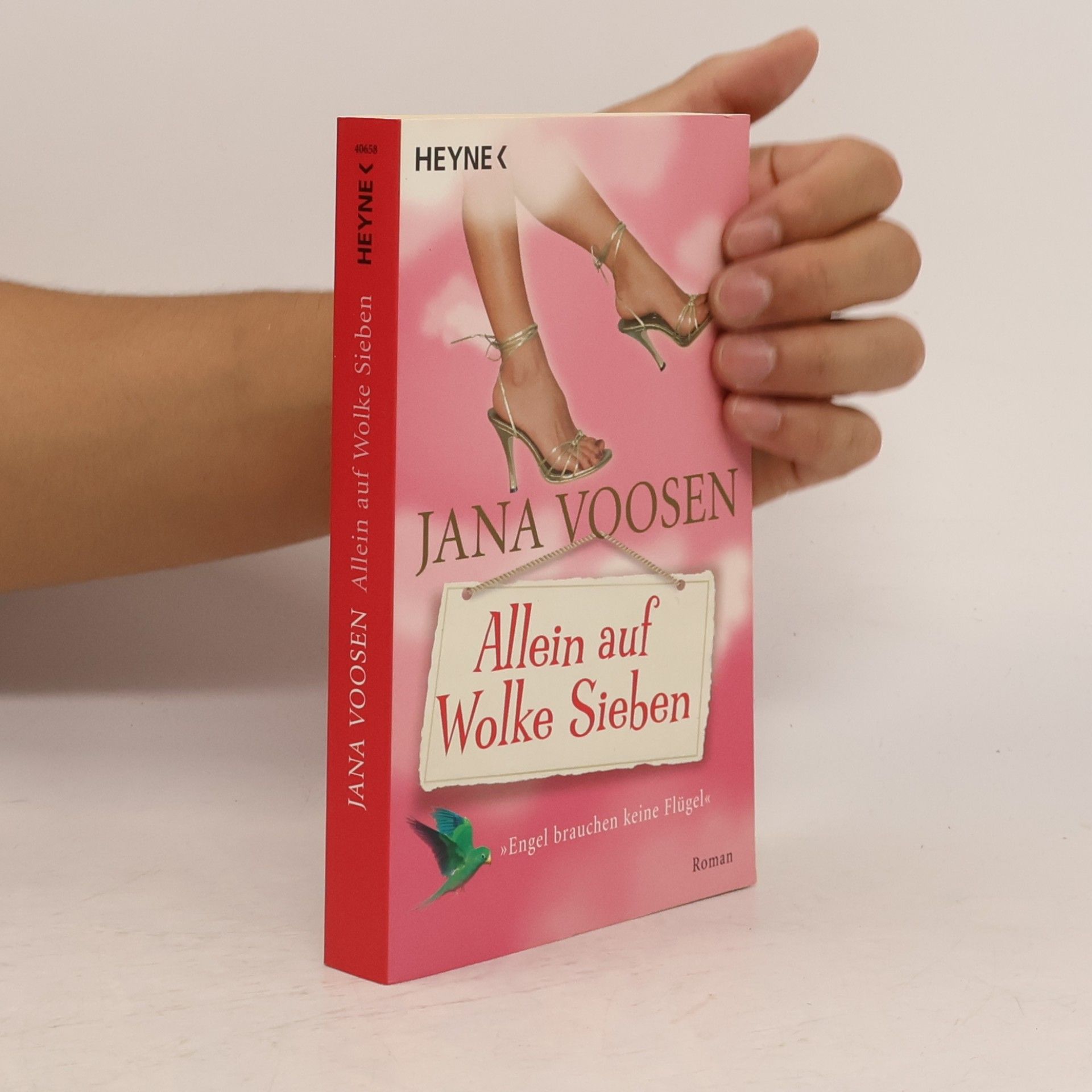 Jana Voosen Allein auf Wolke sieben