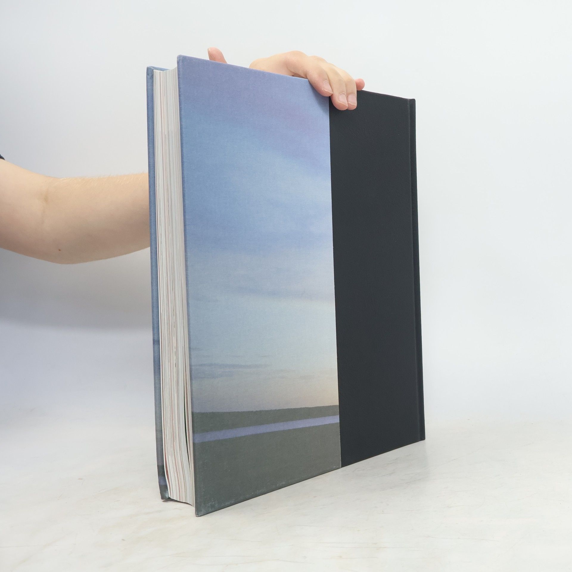 Petra Niebuhr Timpe Brockhaus Horizonte