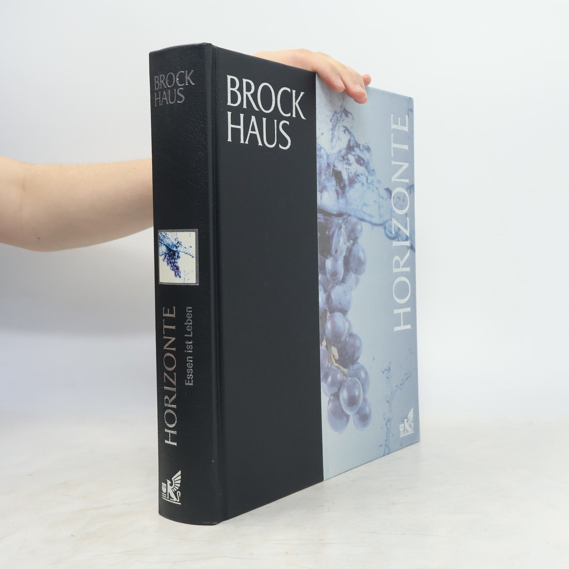 Petra Niebuhr Timpe Brockhaus Horizonte