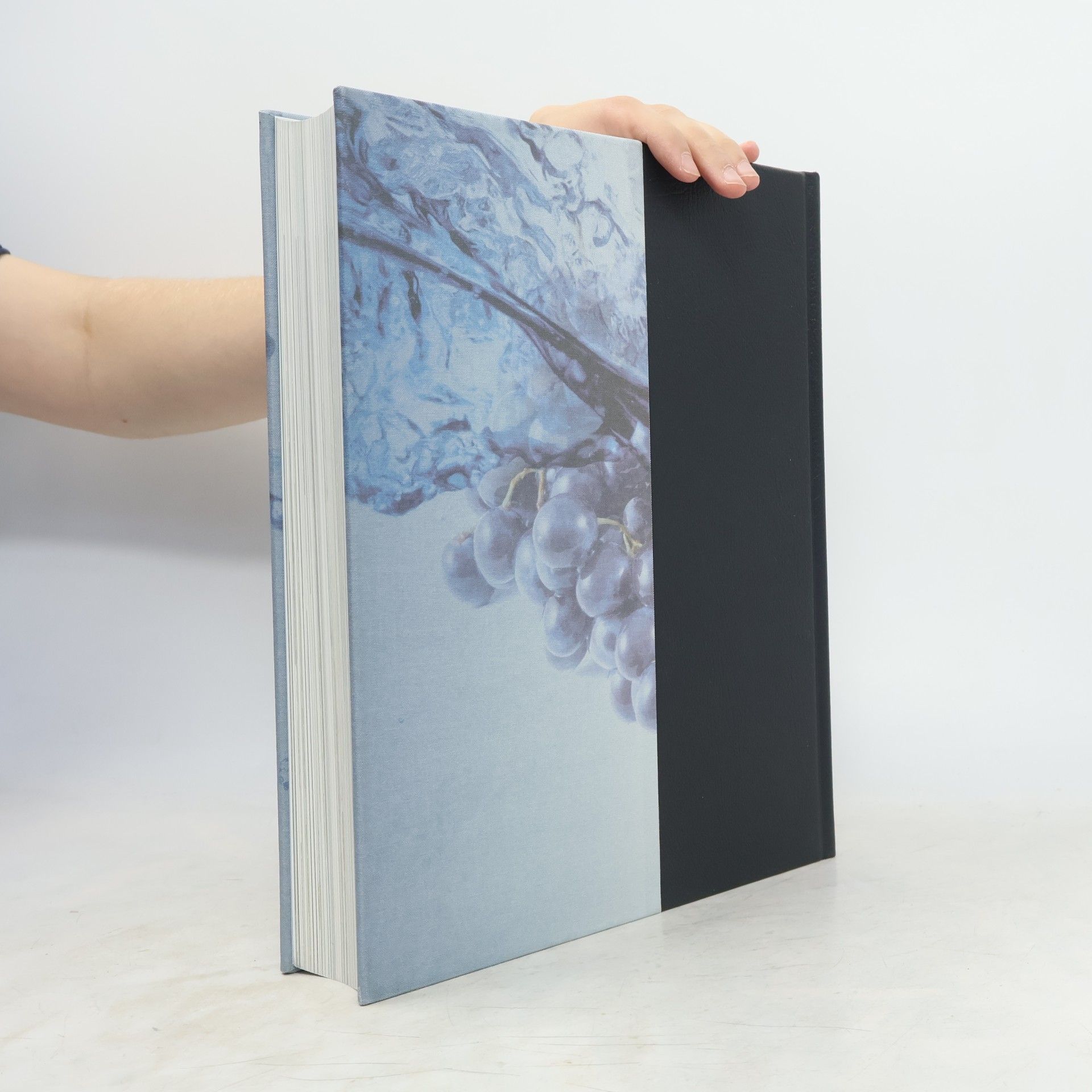 Petra Niebuhr Timpe Brockhaus Horizonte
