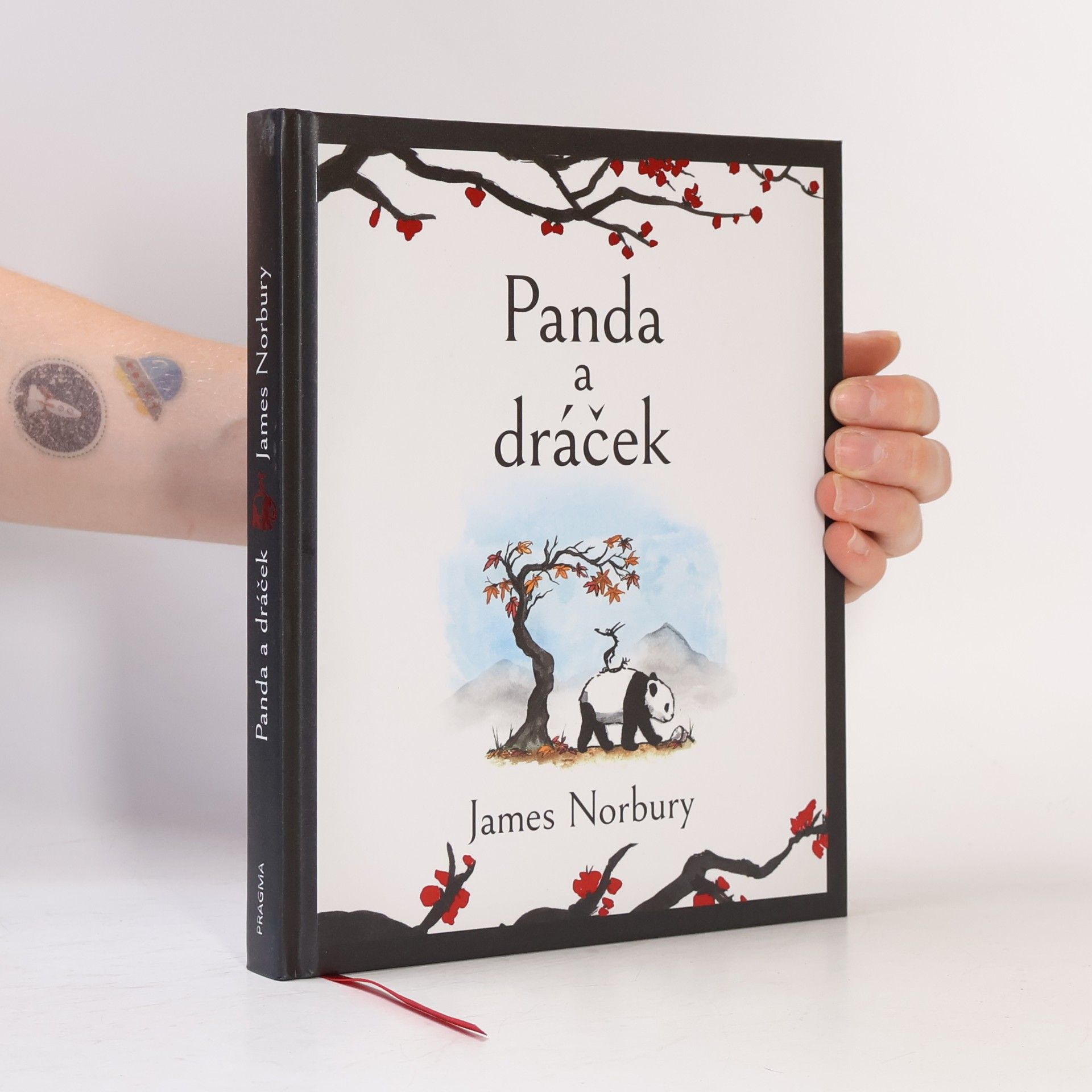 James Norbury Panda a dráček