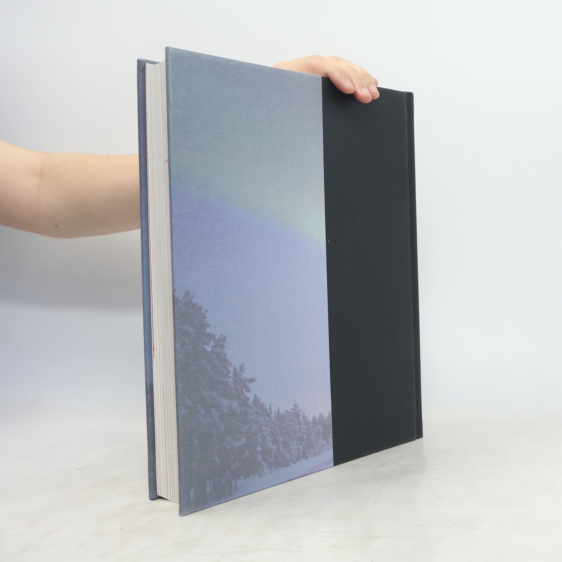 Petra Niebuhr Timpe Brockhaus Horizonte