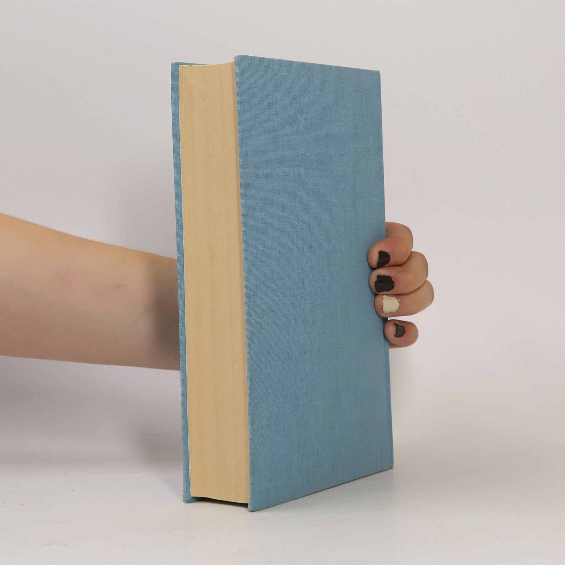 Sandra Paretti Der Winter der ein Sommer war