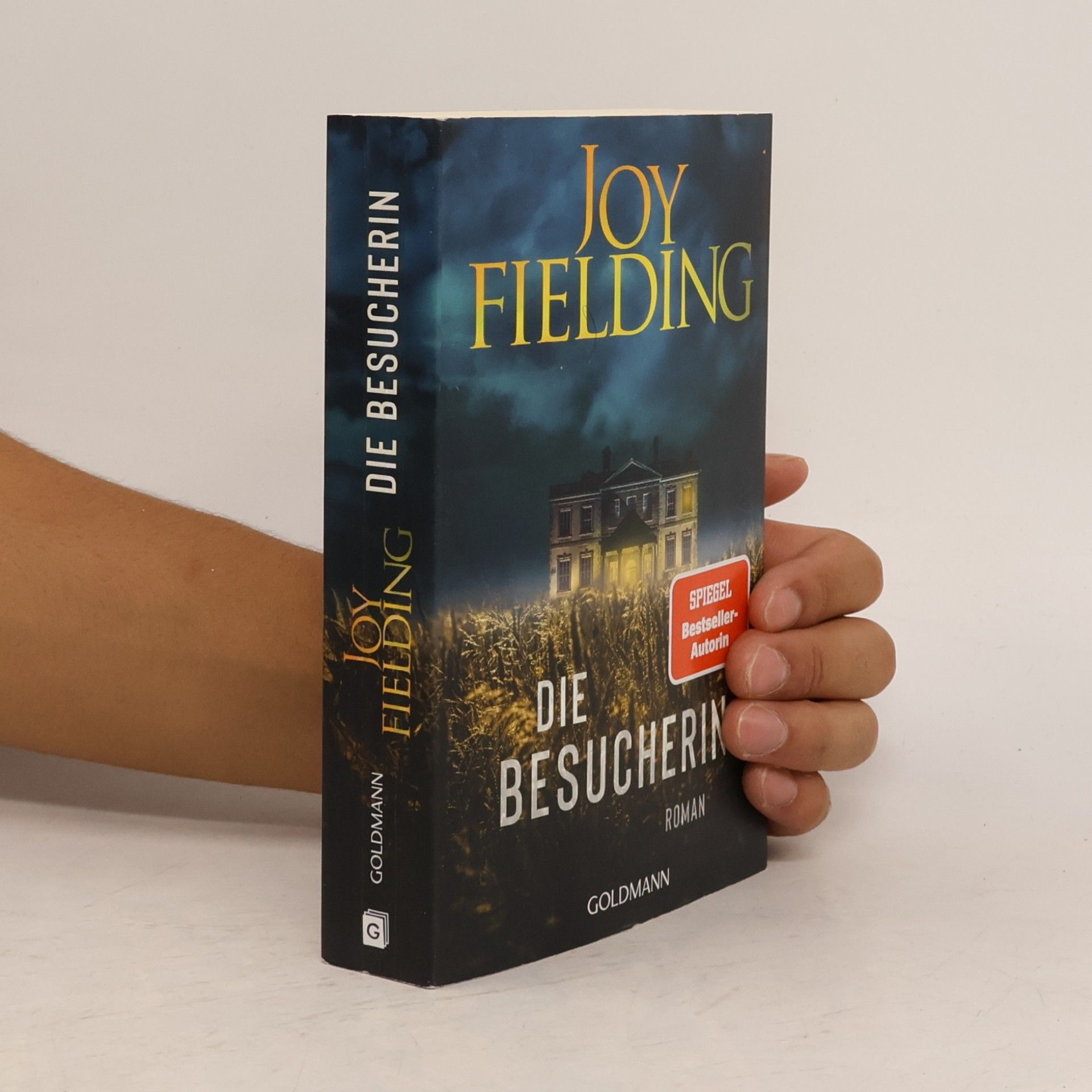 Die Besucherin