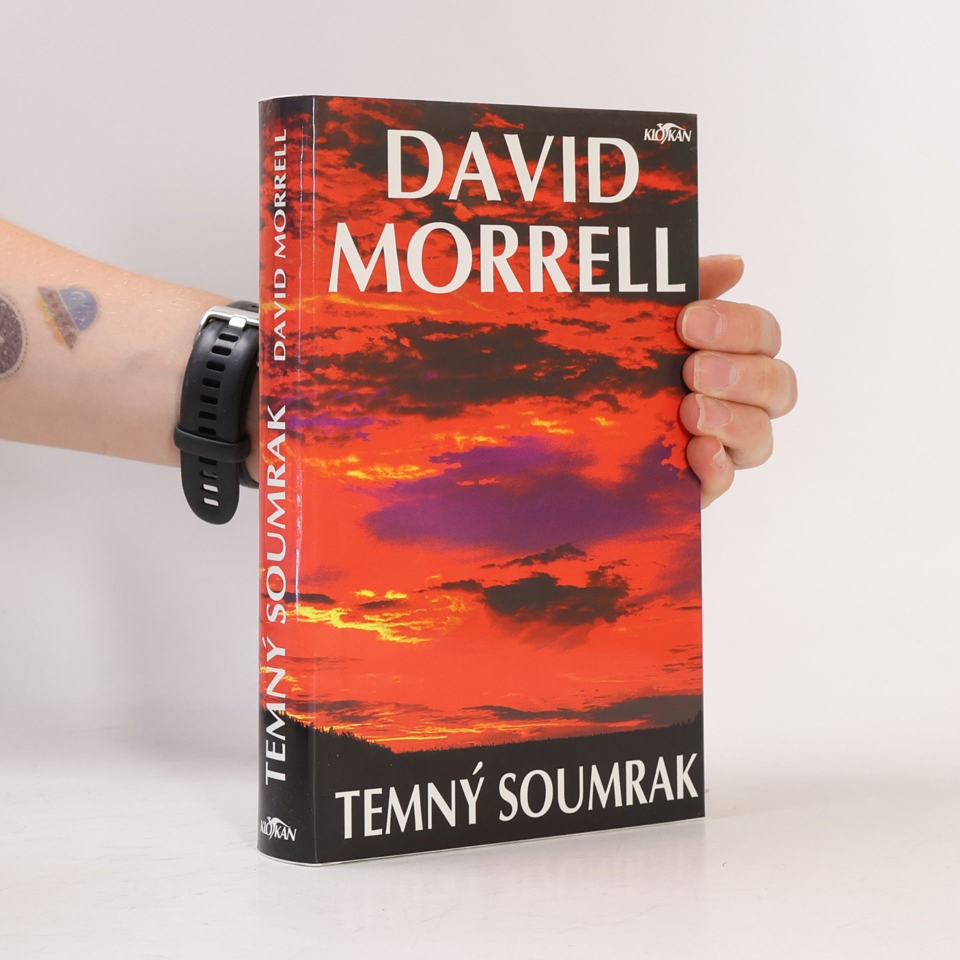 Dalibor Míček Temný soumrak