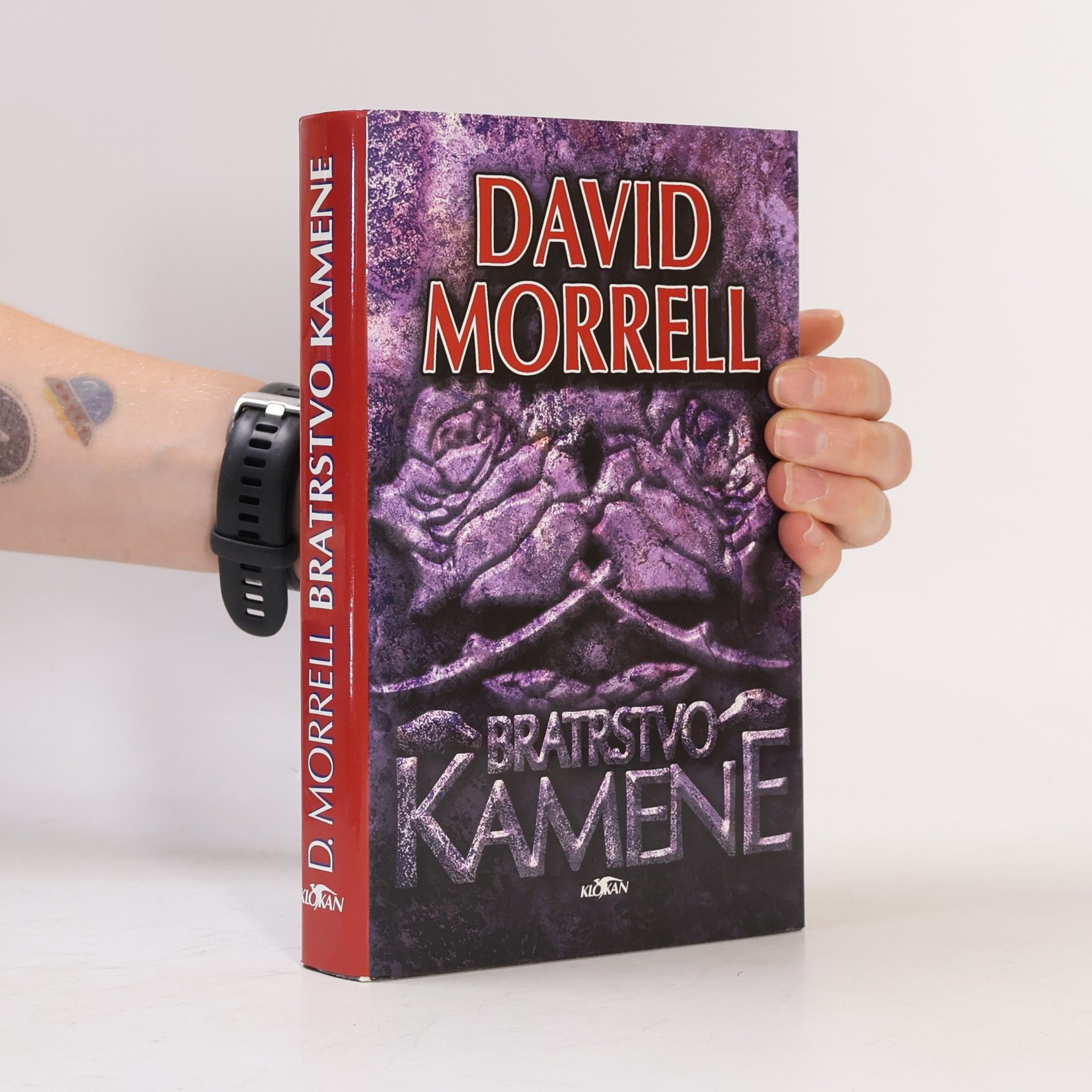David Morrell Bratrstvo kamene