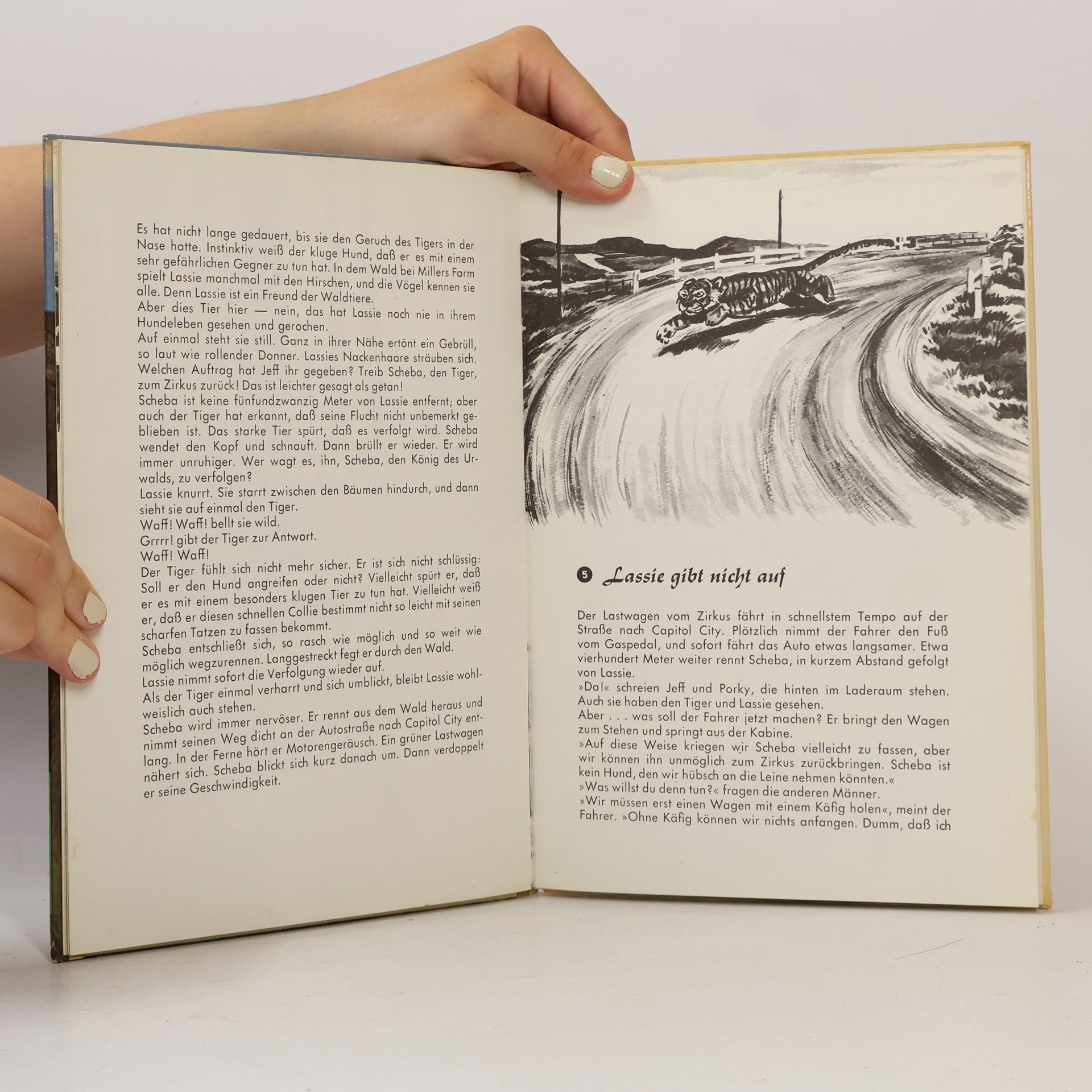 Autores varios Lassie der Toger is los!