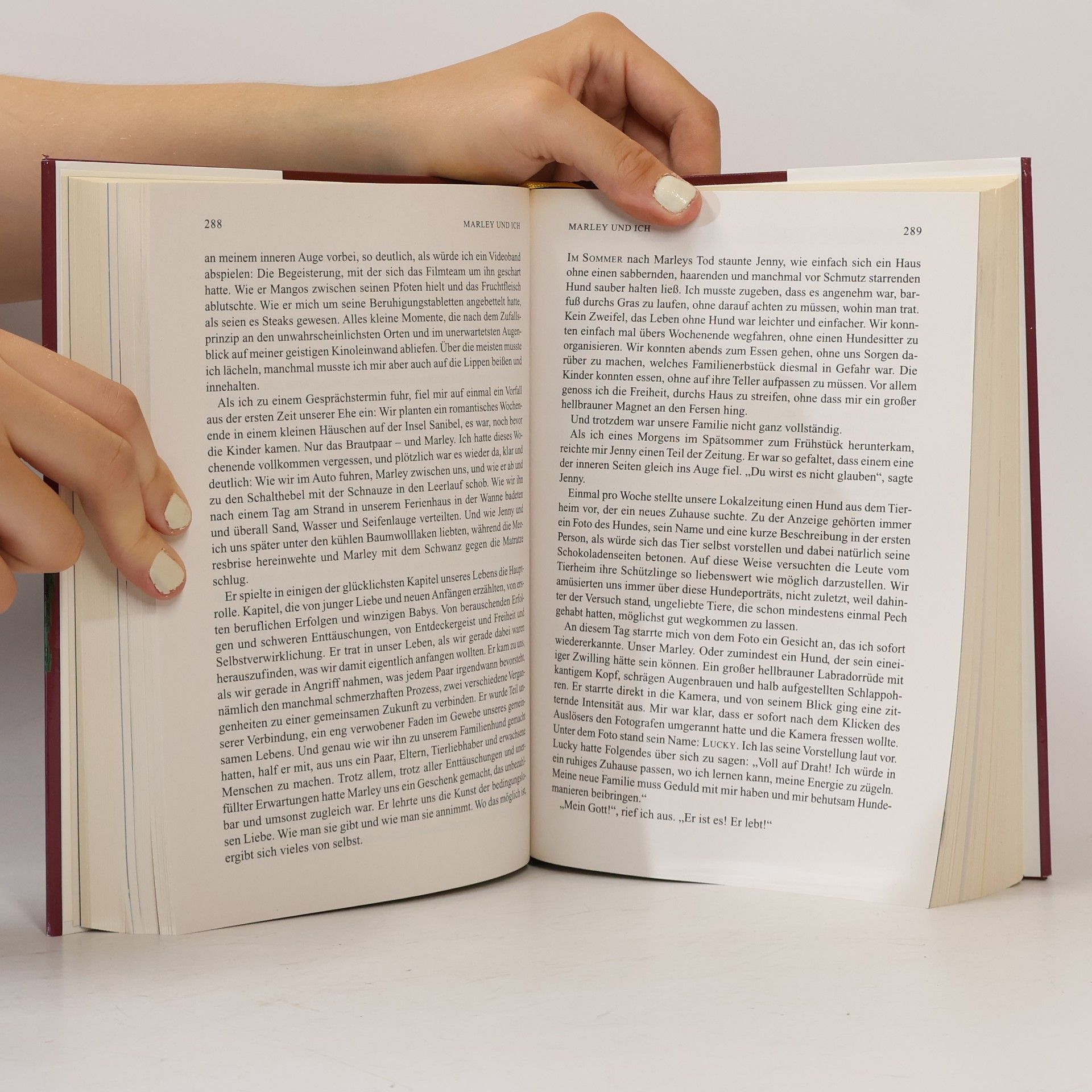 Collectif d'auteurs Auswahlbücher - Weil deine Augen ihn nicht sehen; Marley und ich; Das Luftschiff; War wir aus Liebe tun