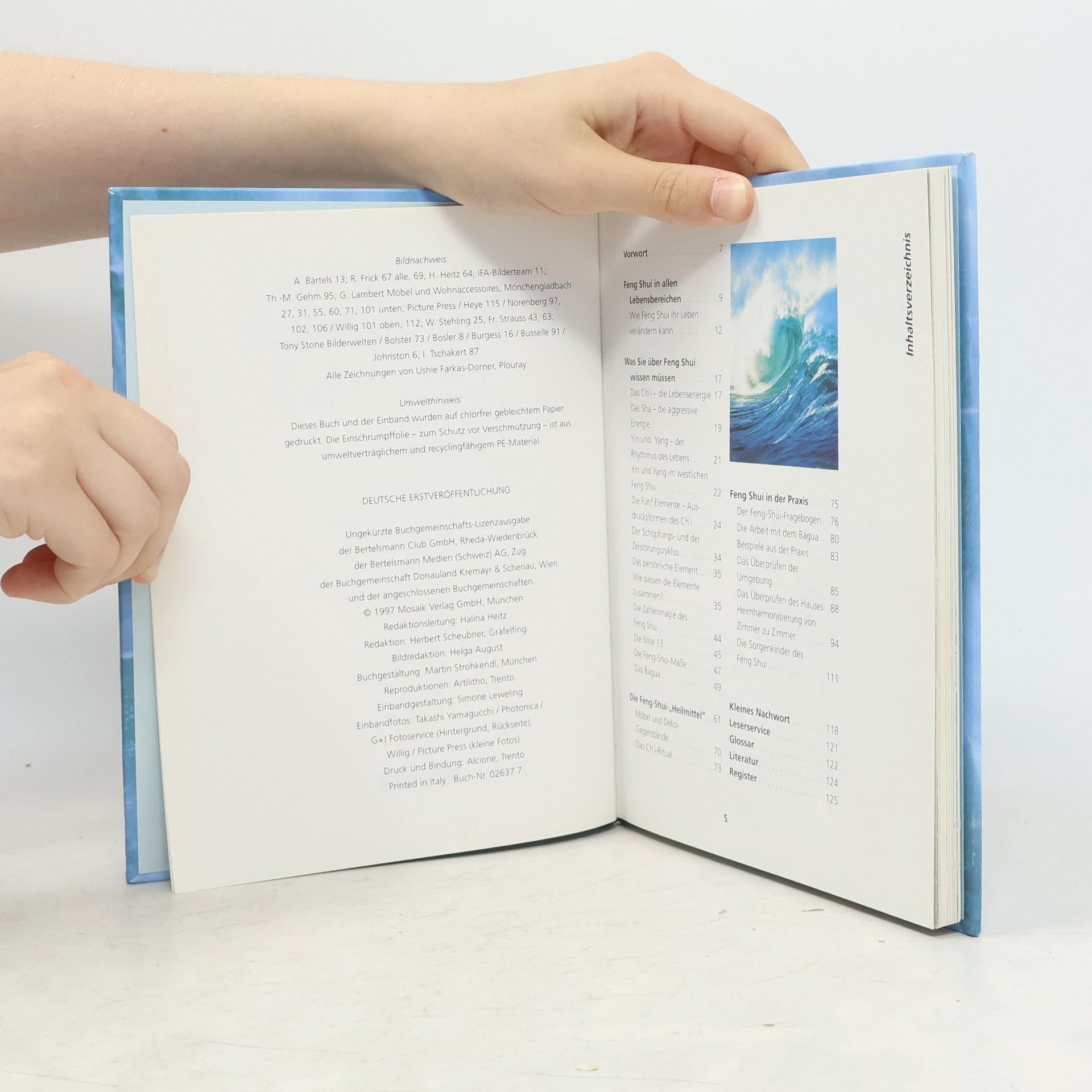 Katrin Martin Wohnen mit Feng Shui