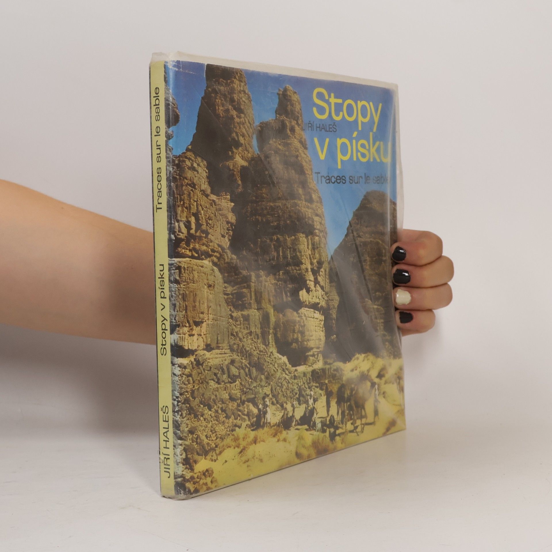 Jiří Haleš Stopy v písku- Traces sur le sable
