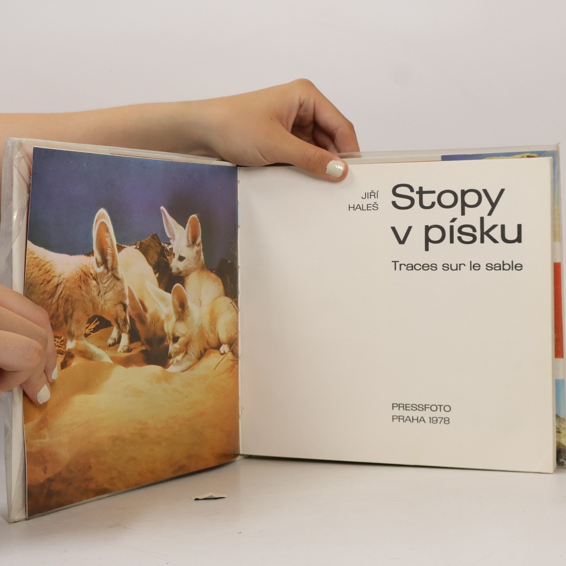 Jiří Haleš Stopy v písku- Traces sur le sable