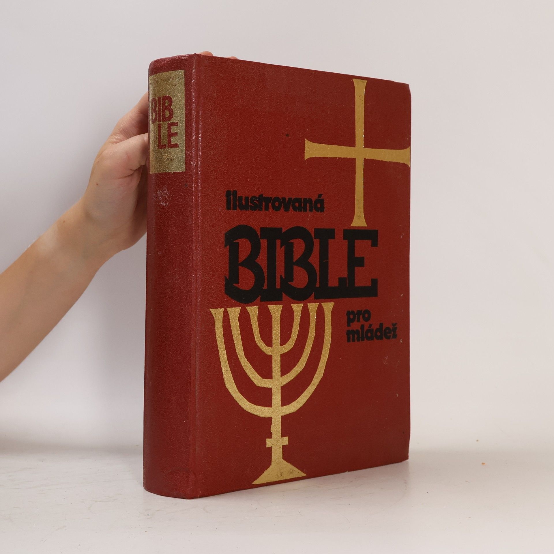 Various authors Ilustrovaná Bible pro mládež