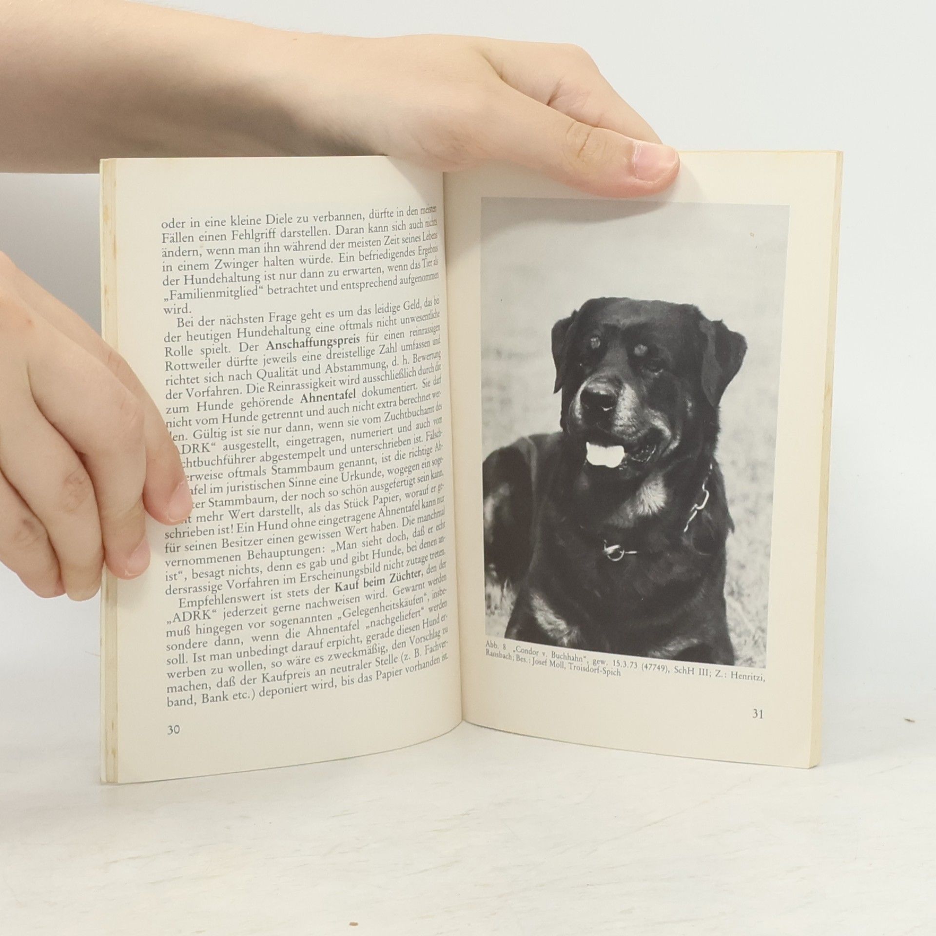 Gerda M. Umlauff Der Rottweiler