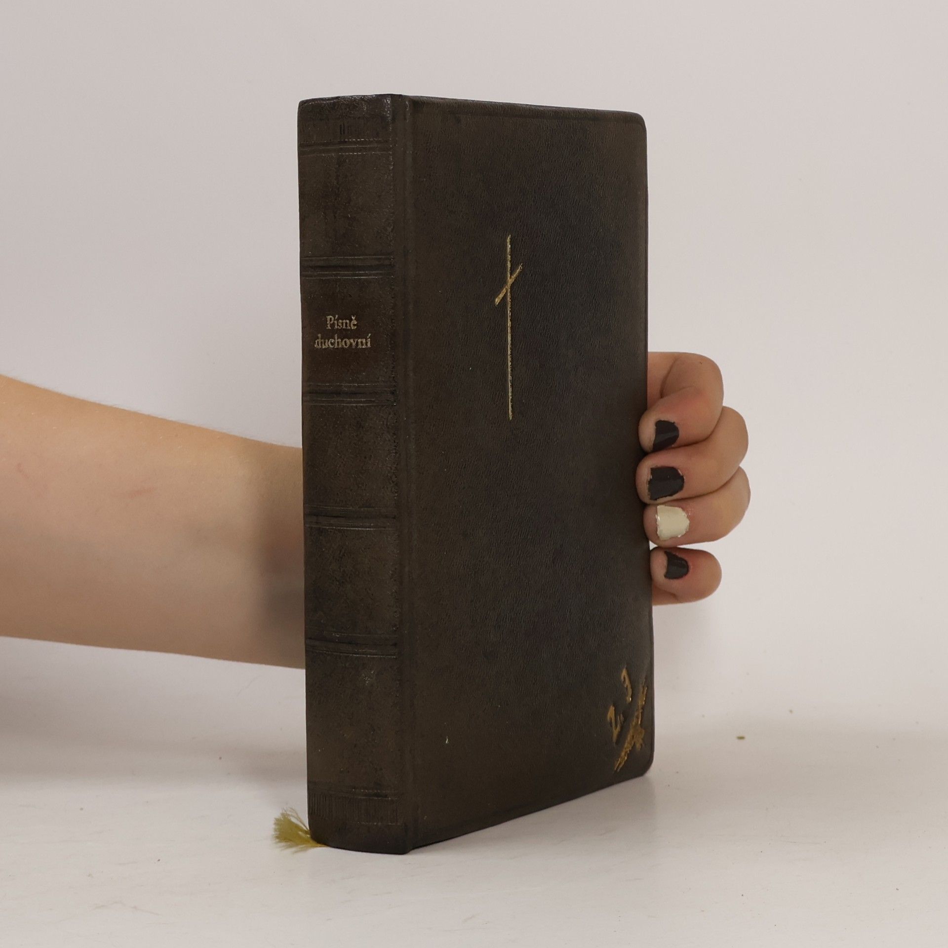 Collectif d'auteurs Písně duchovní